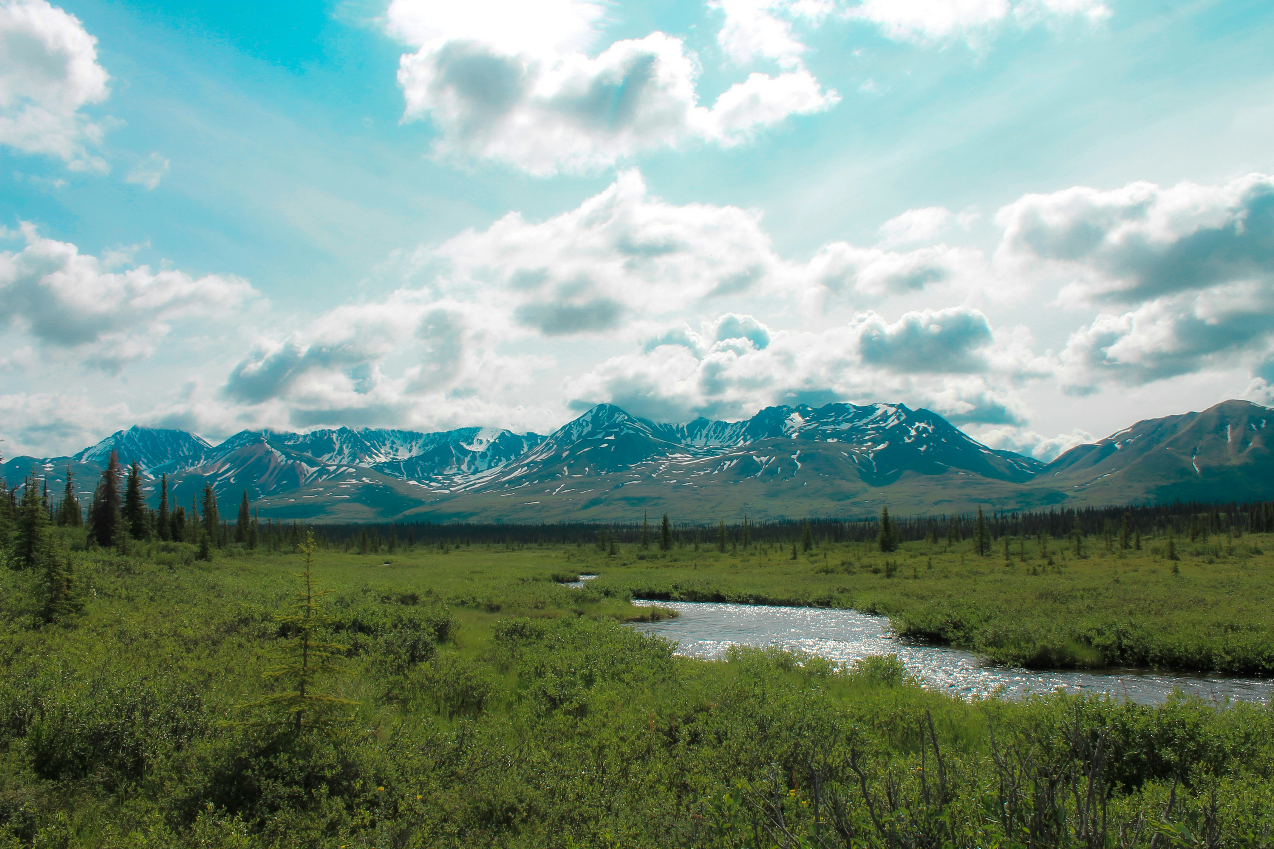 Photo by cjrollins17