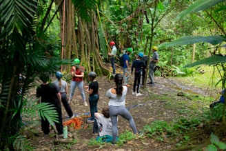 People gather in a lush rainforest setting.