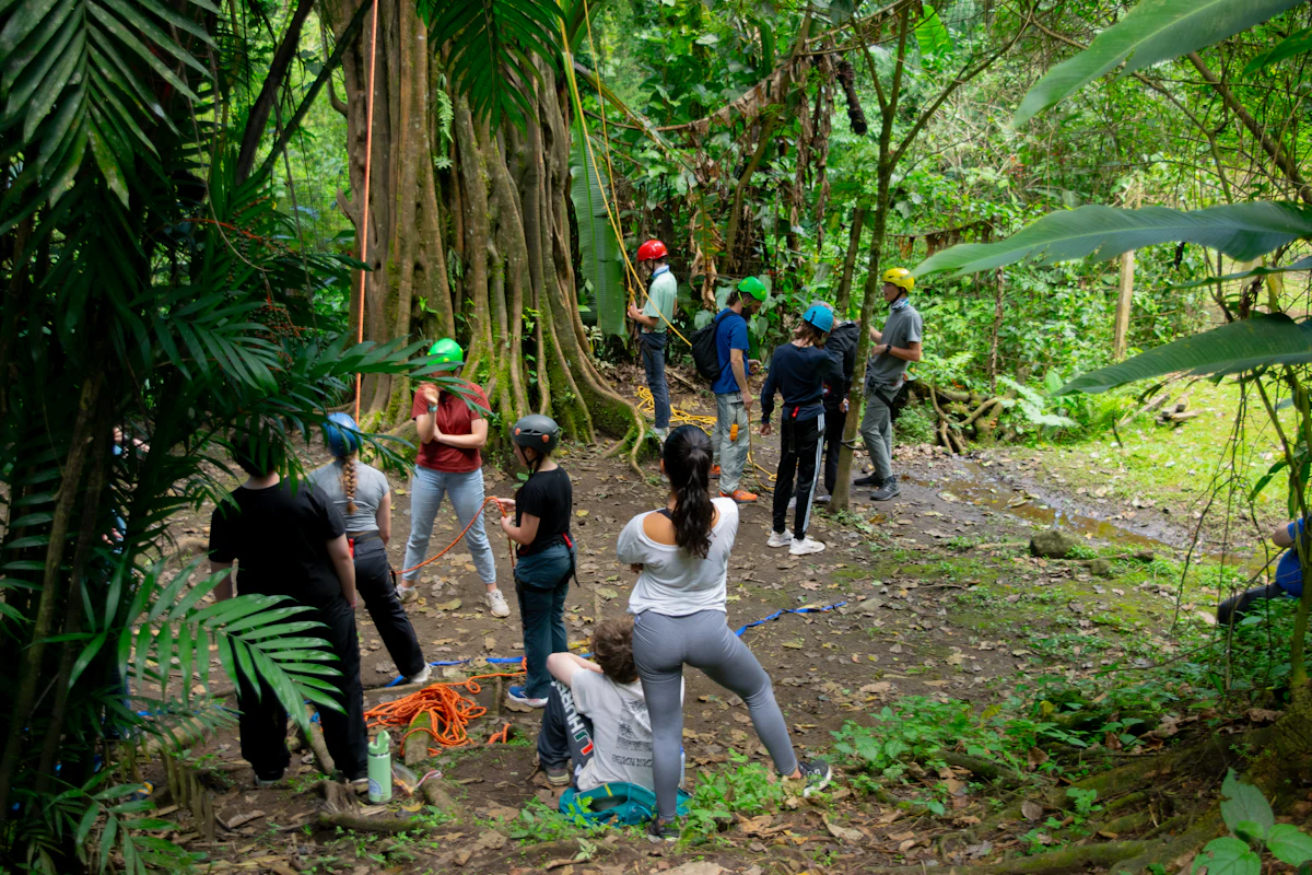 People gather in a lush rainforest setting