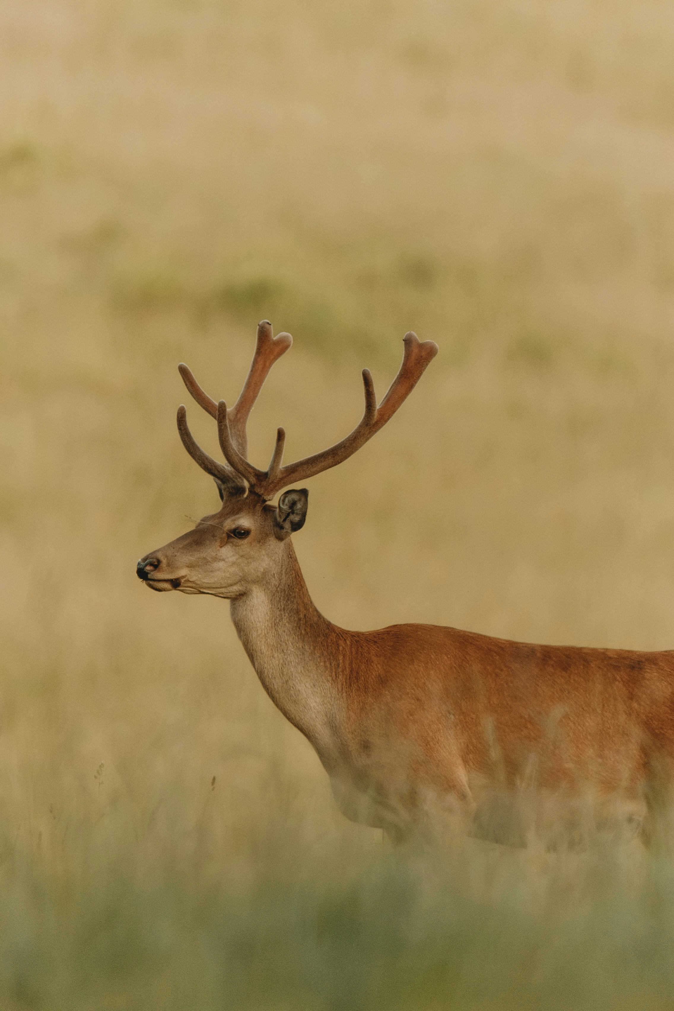 Photo by filipkvasnak