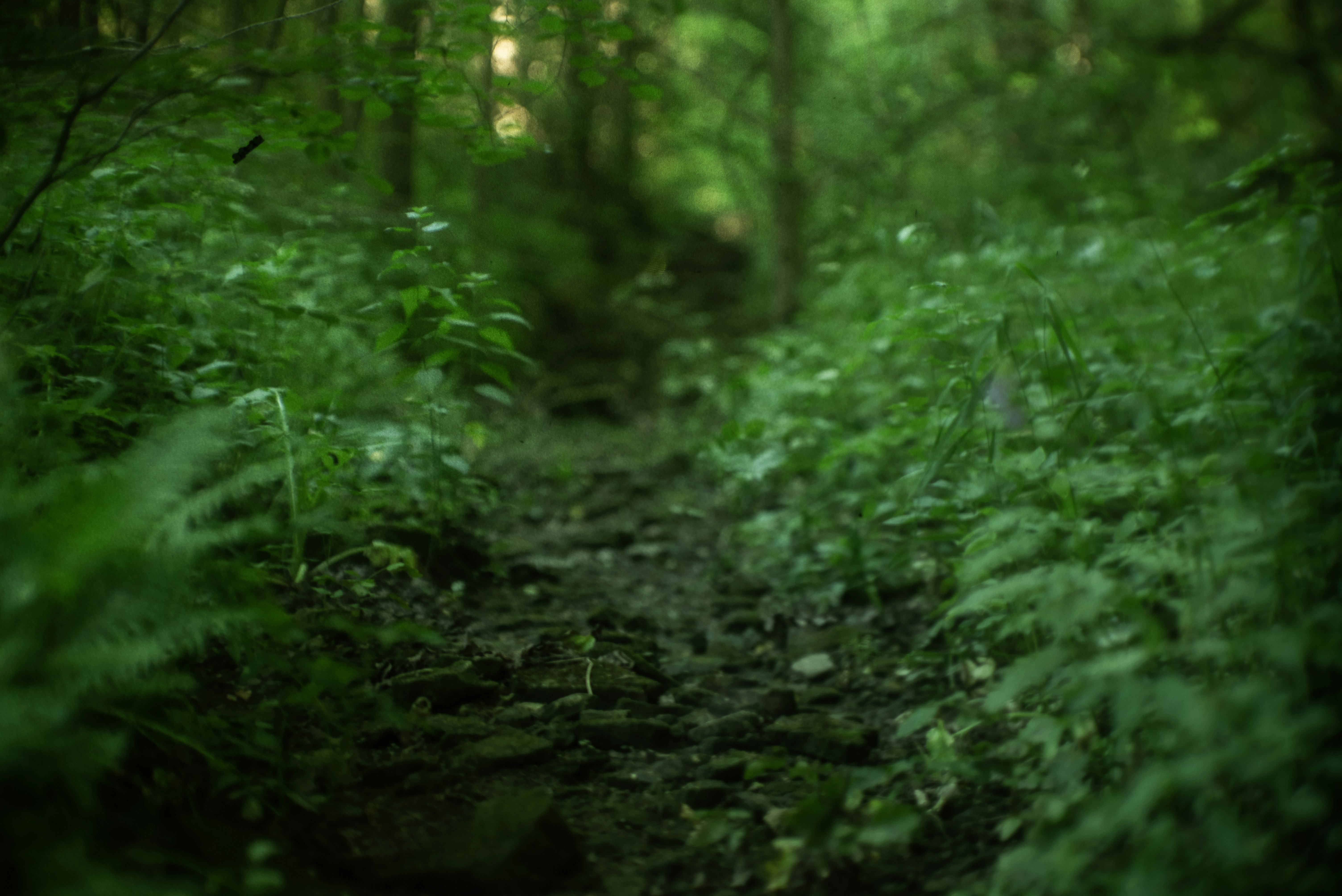 Photo by andrilliardbond