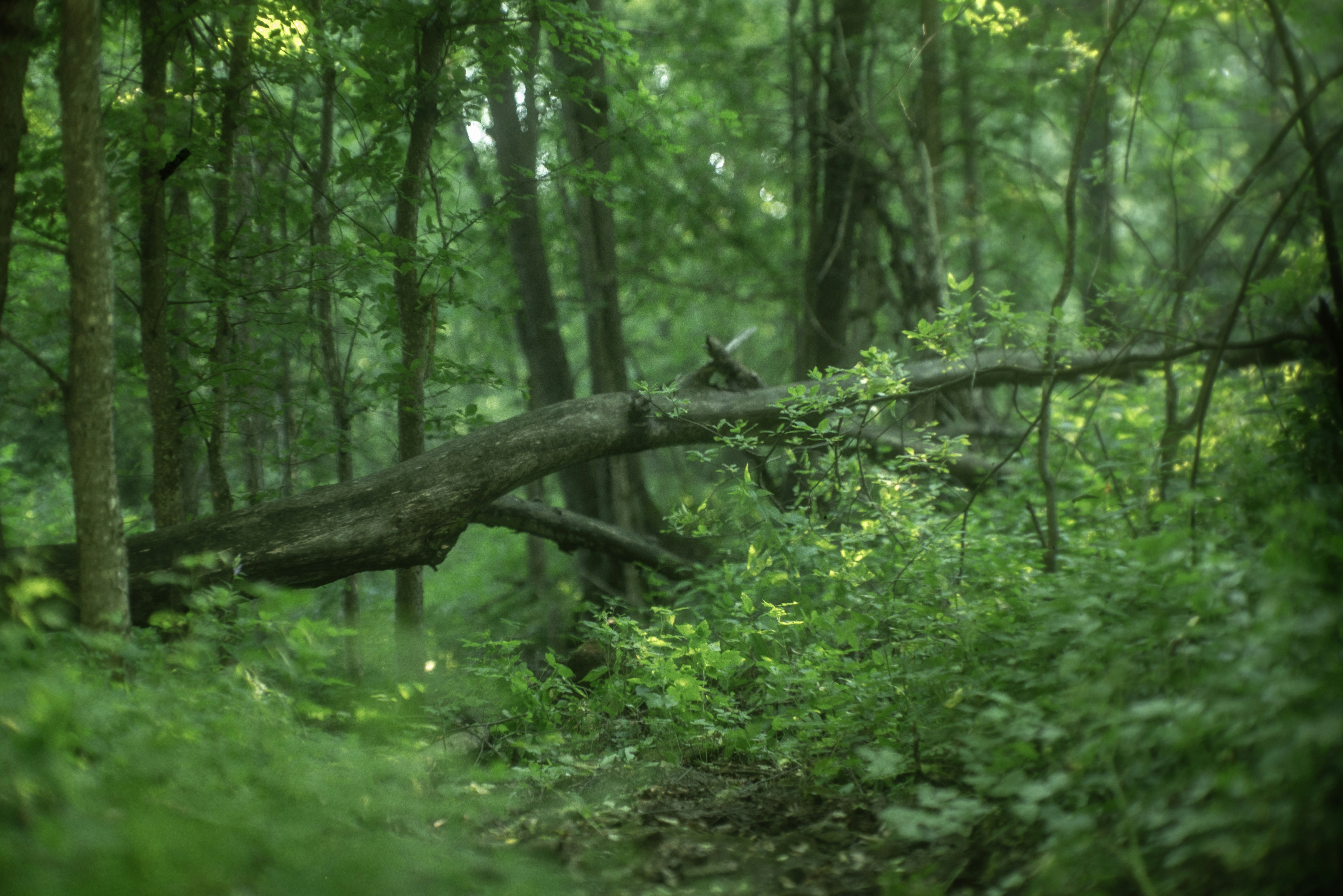 Photo by andrilliardbond