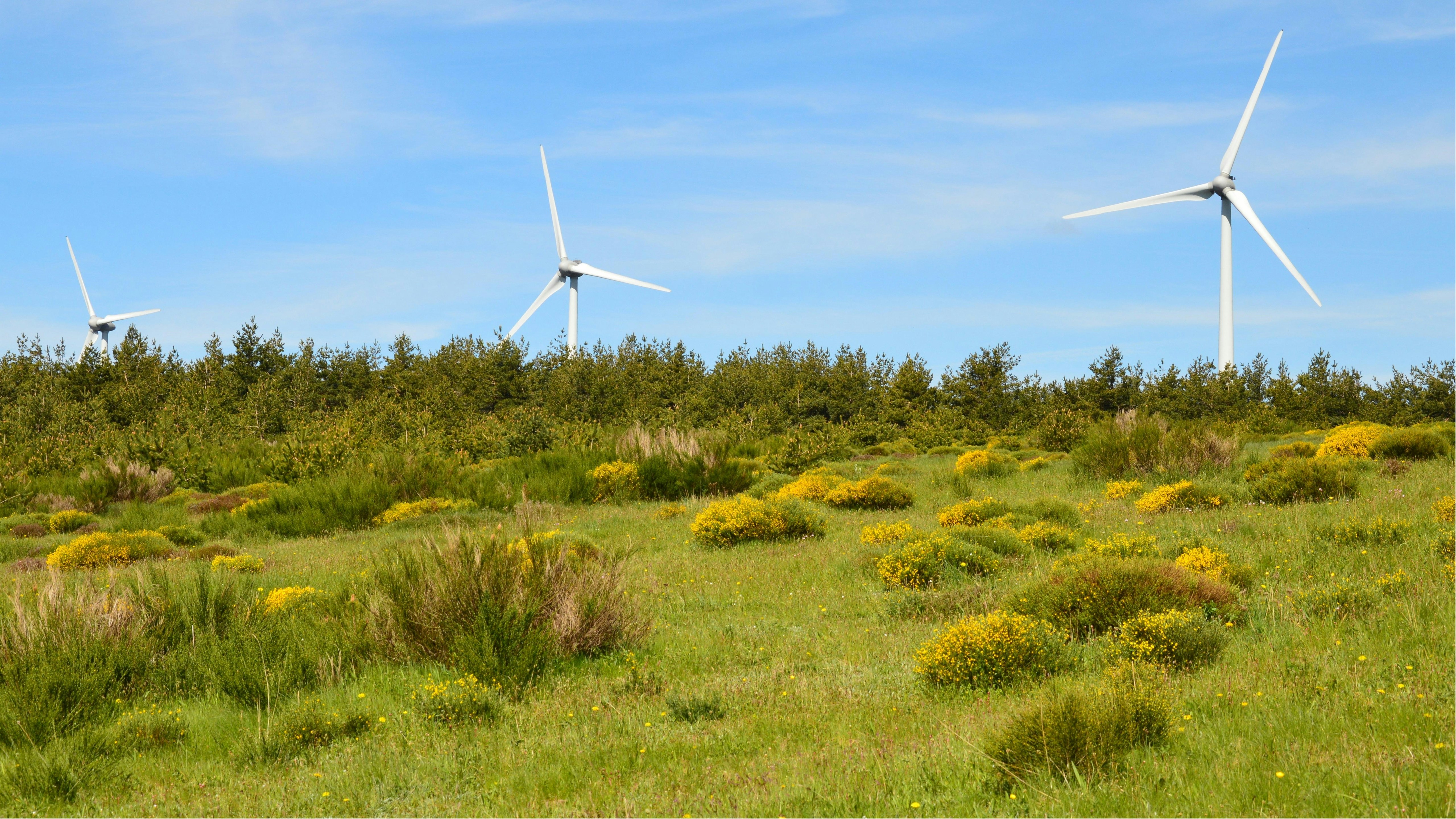 Ecoener alcanza una reducción histórica de emisiones y establece nuevas metas de descarbonización