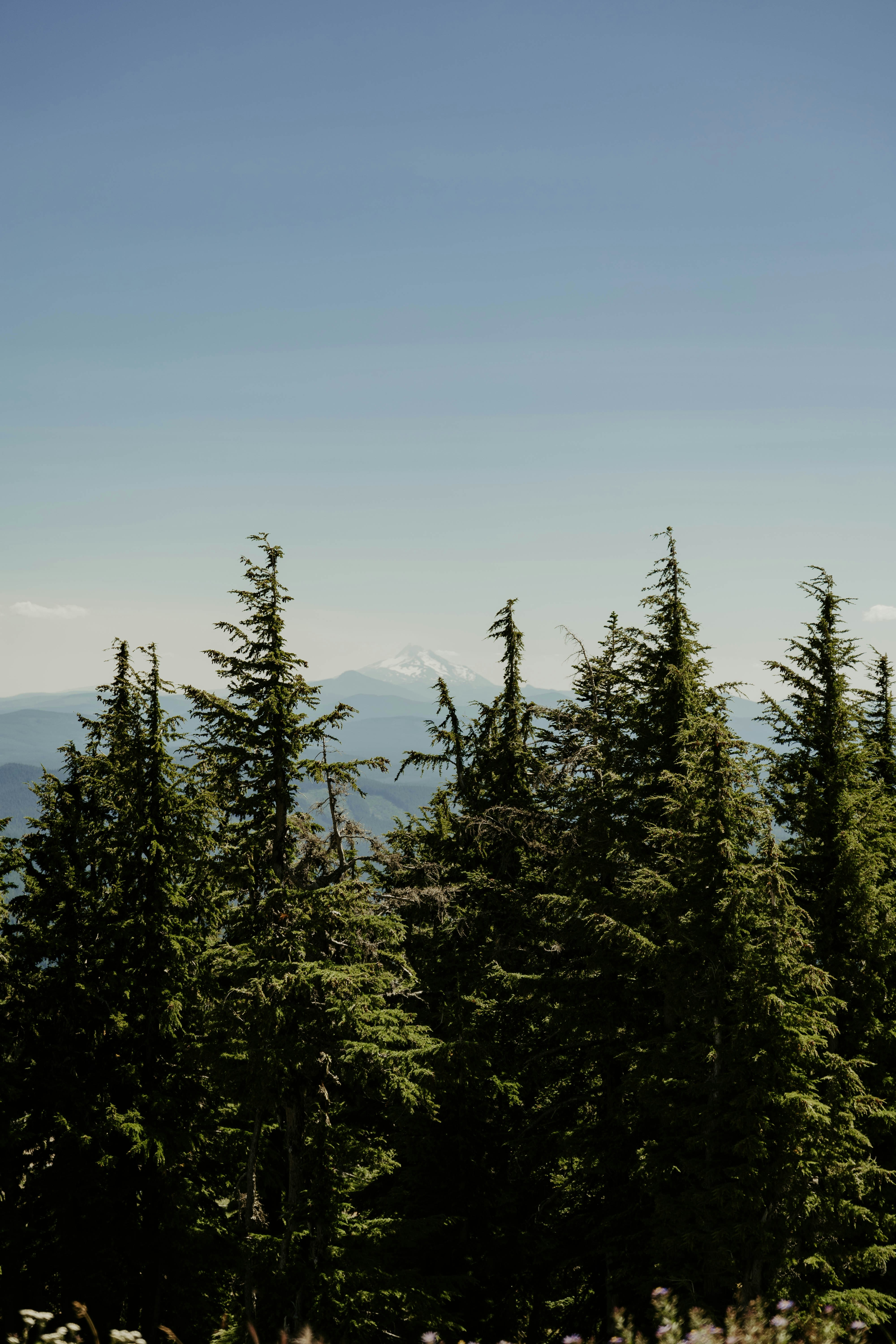 Photo by emily_lewis_photography