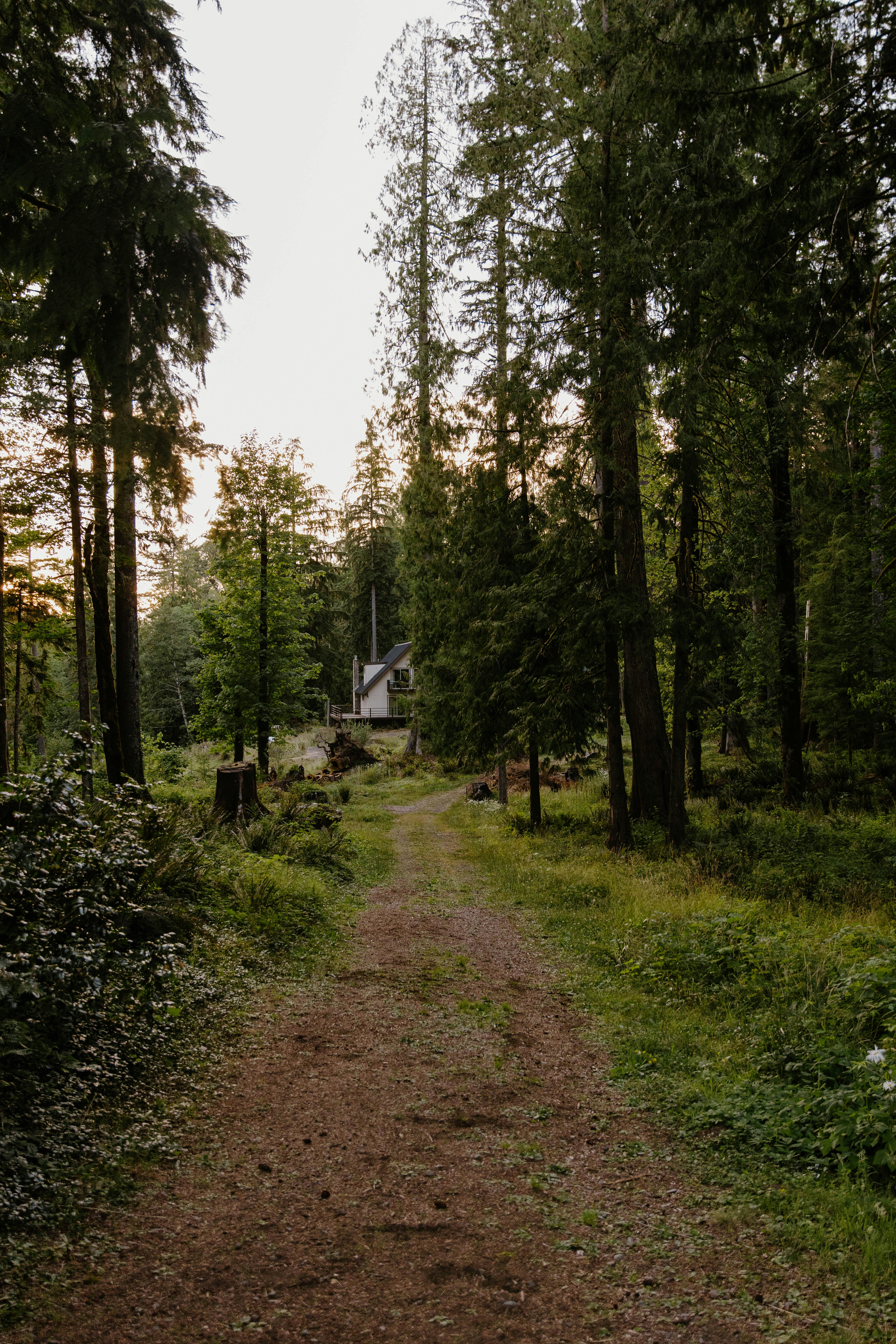 Photo by emily_lewis_photography