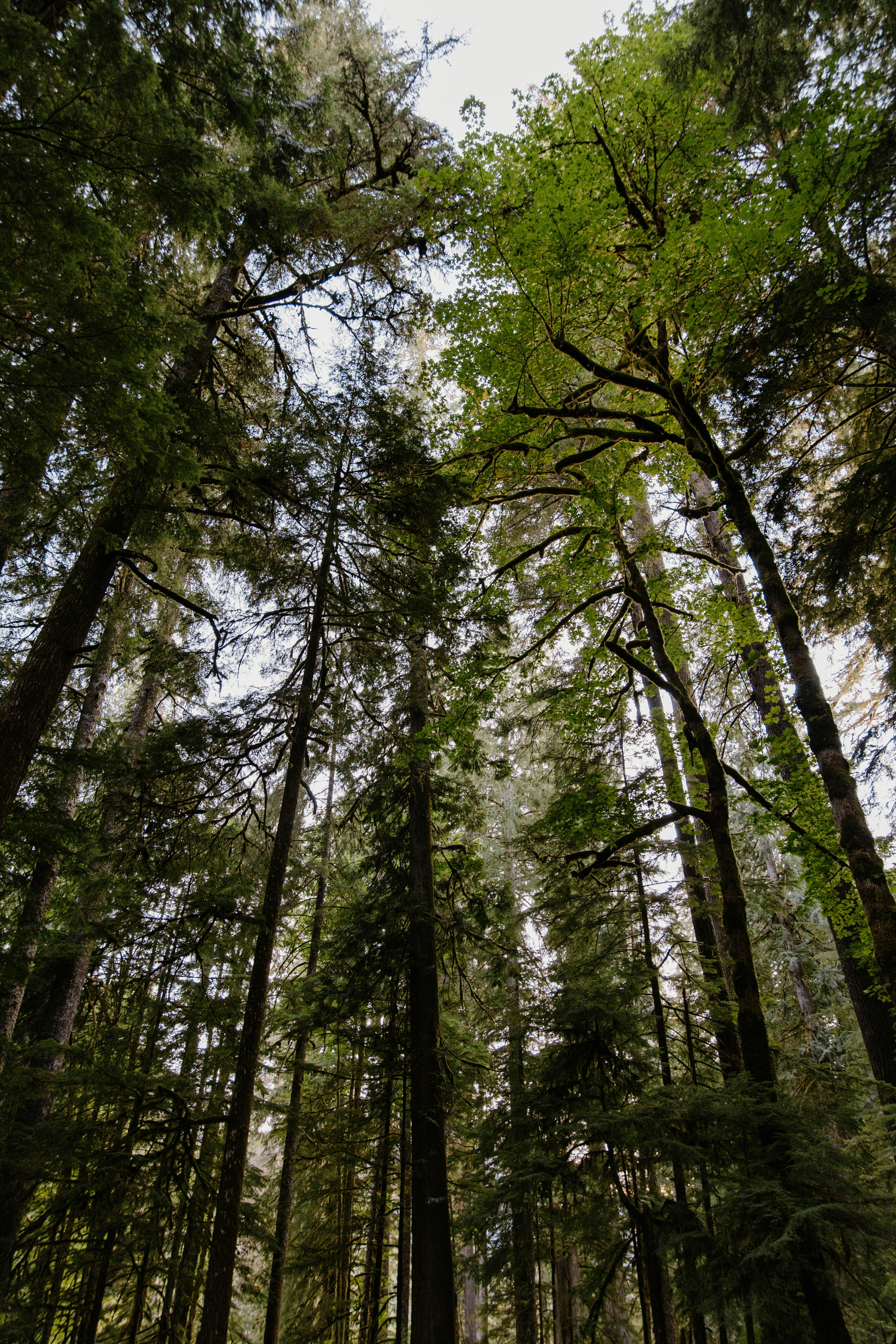 Photo by emily_lewis_photography