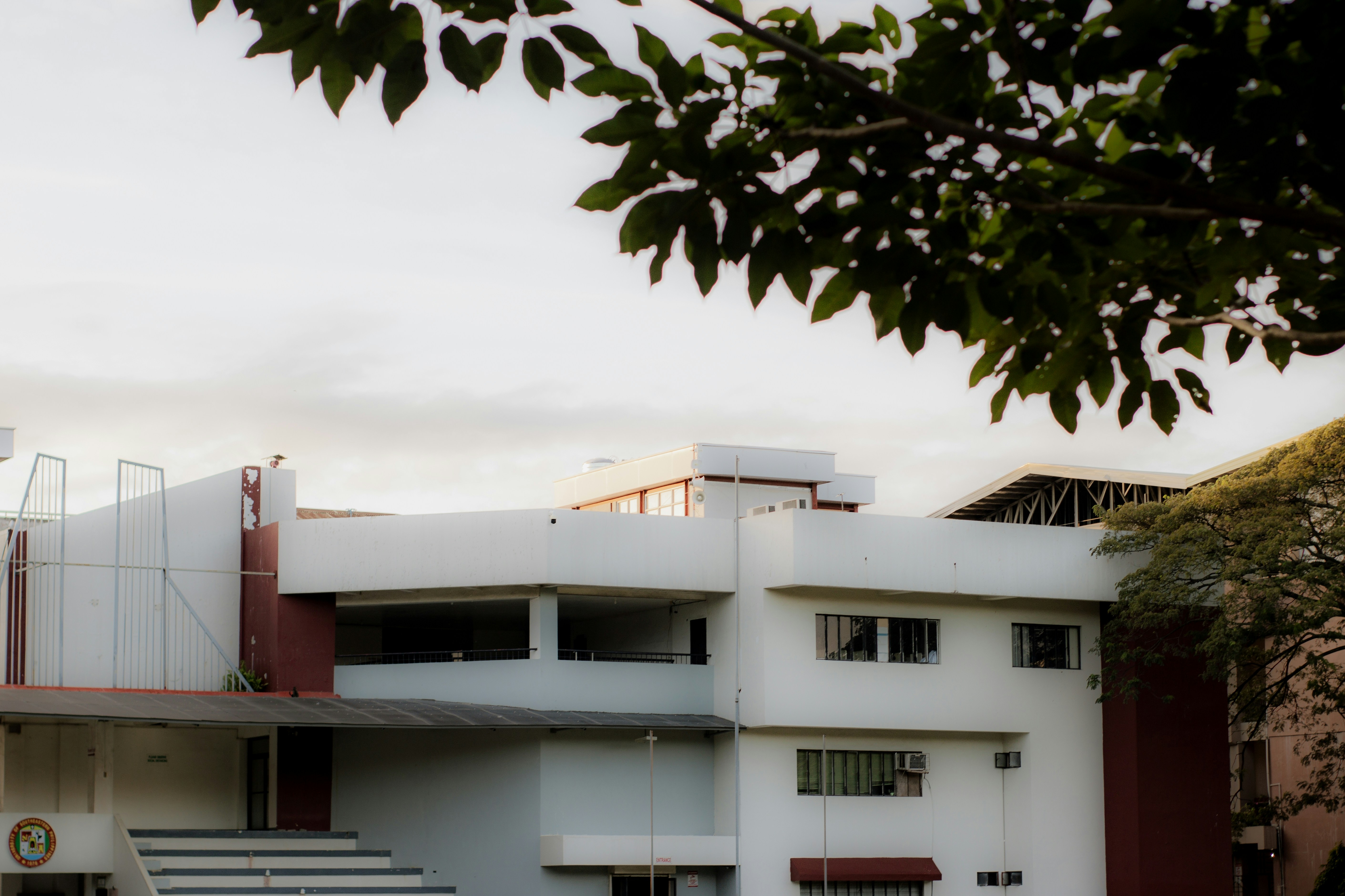 Photo by johan_kamaong