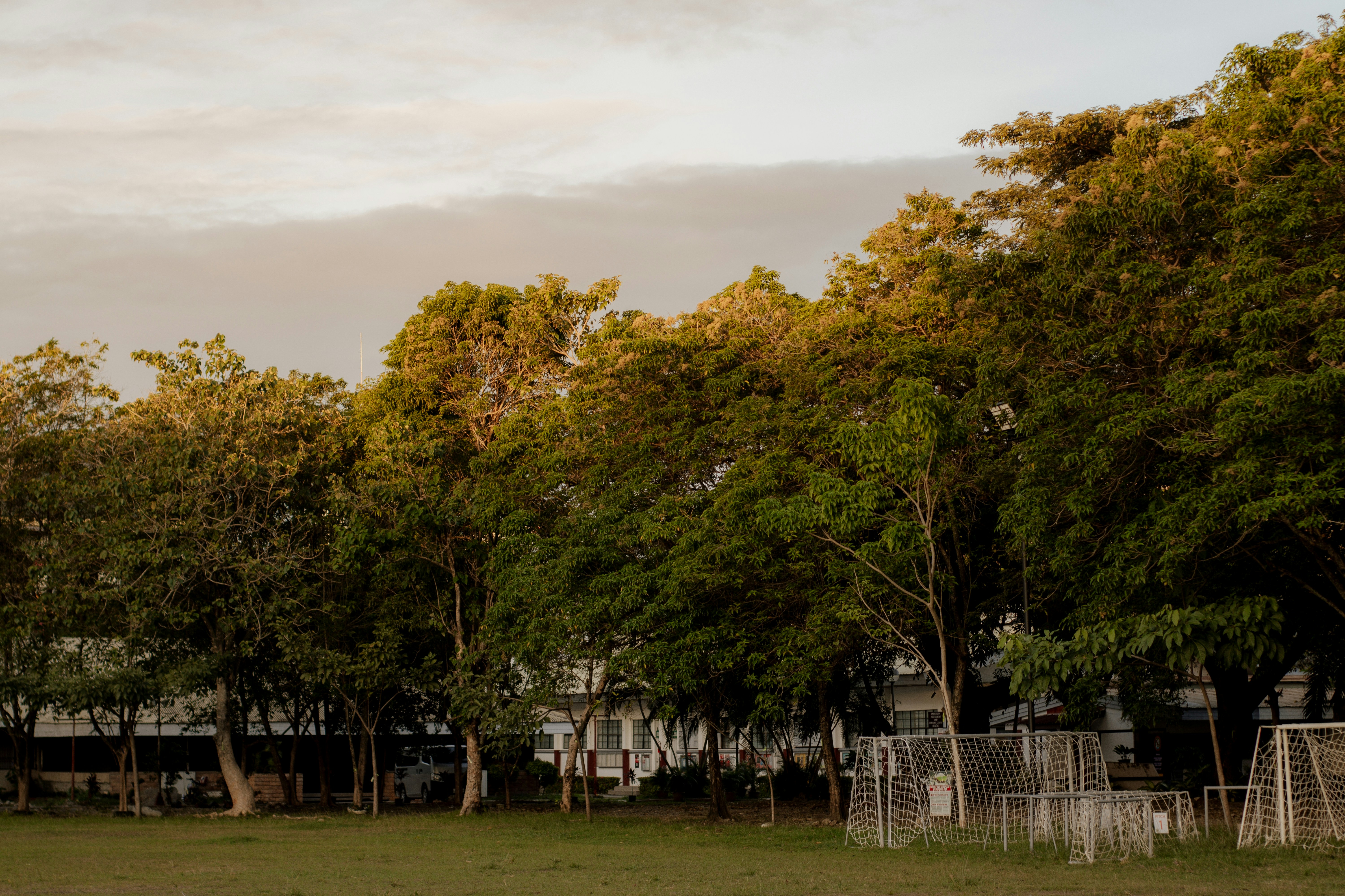 Photo by johan_kamaong