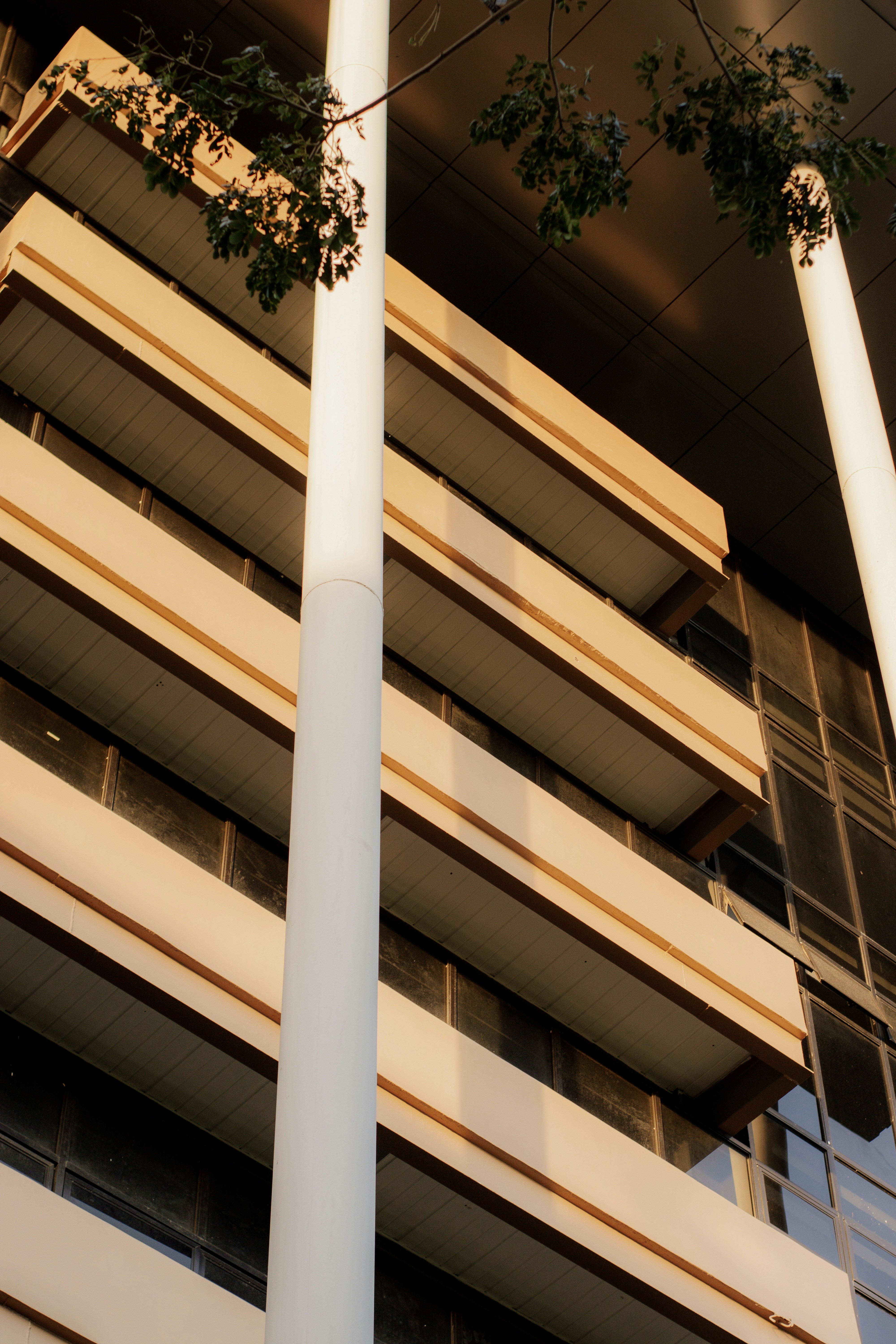 Davao – Day Trips & Surroundings