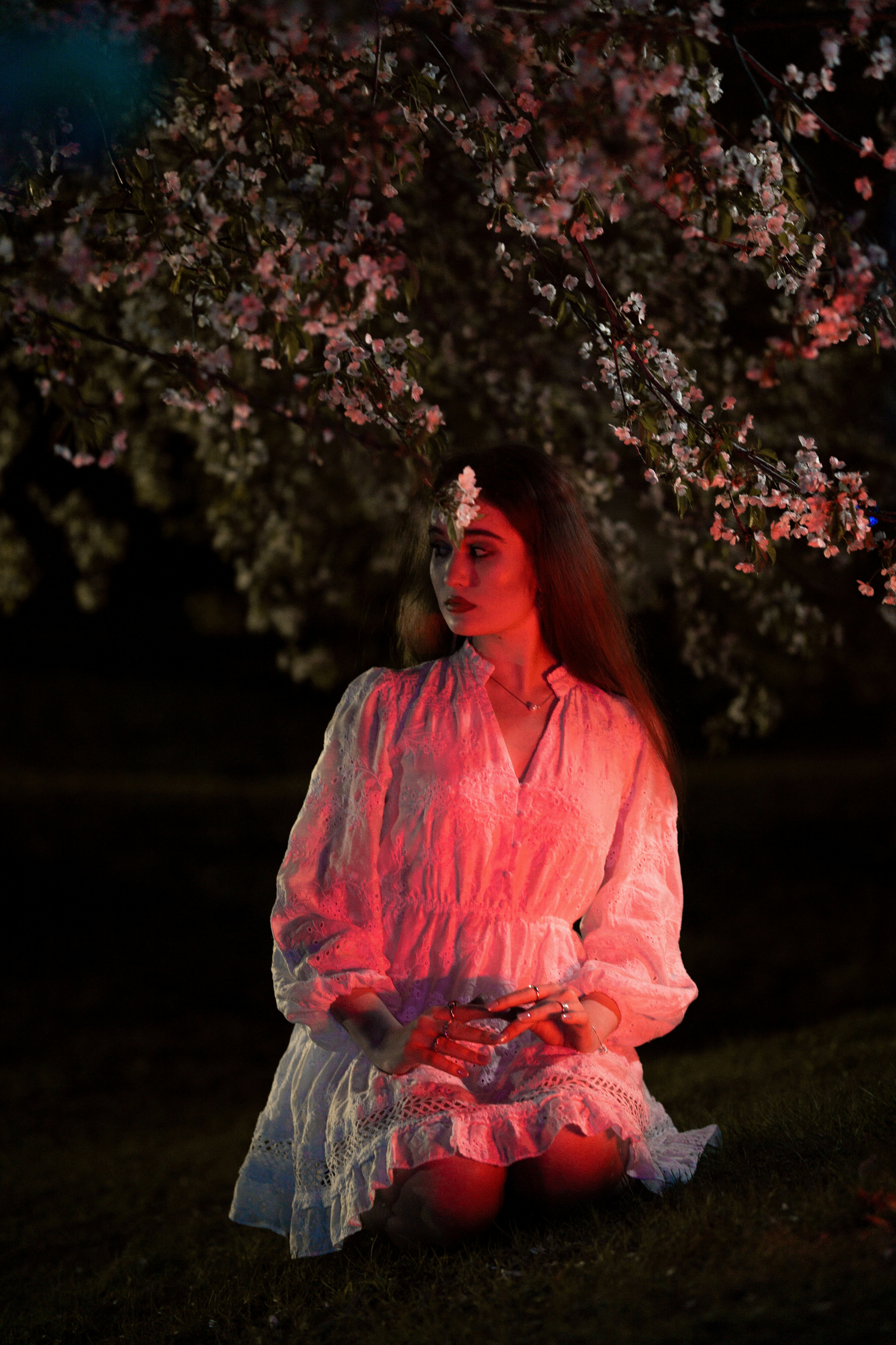 Woman kneels under blossoming tree at night.