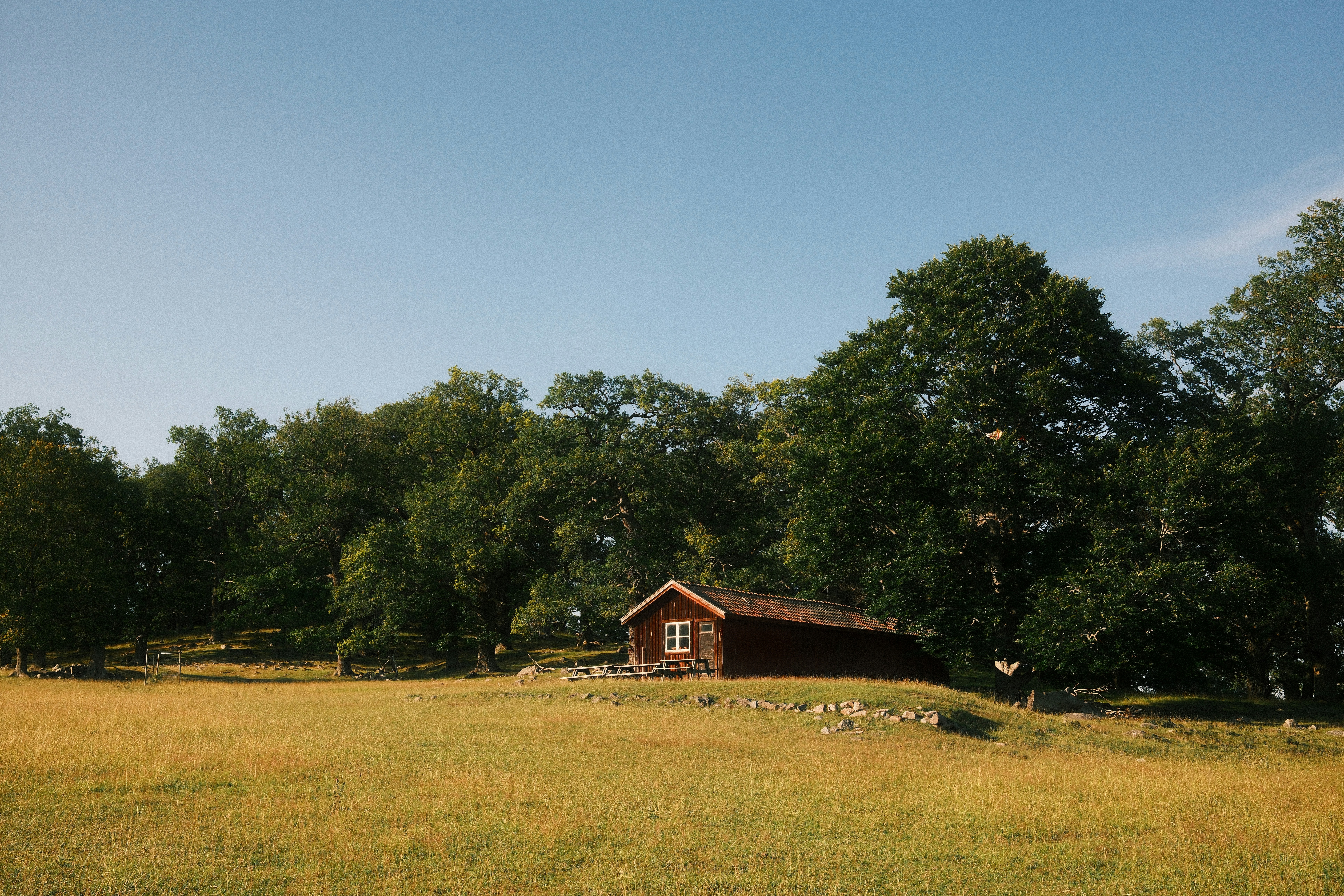 Photo by jonaseriksson