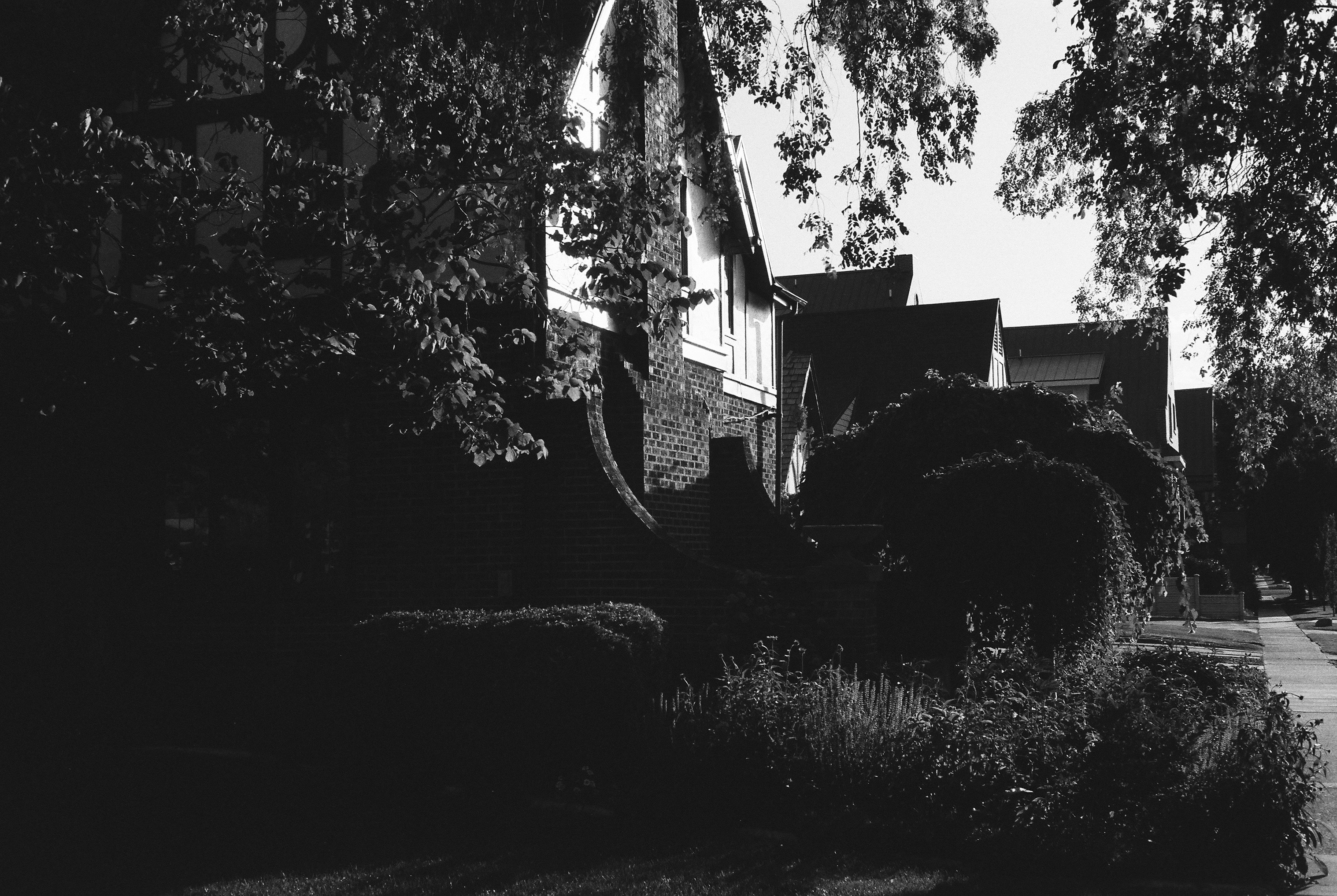 Photo by theguccer2100