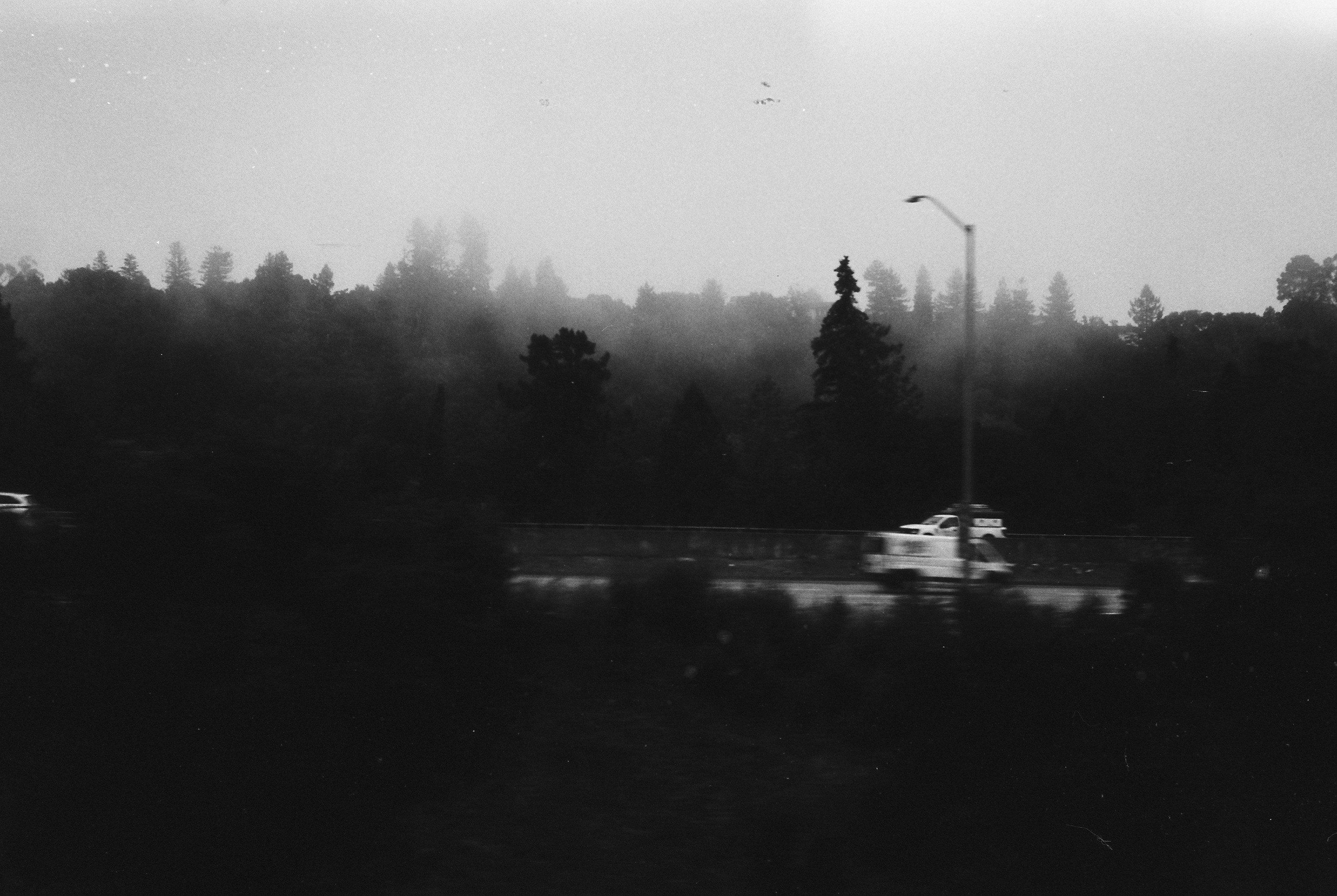 Photo by theguccer2100