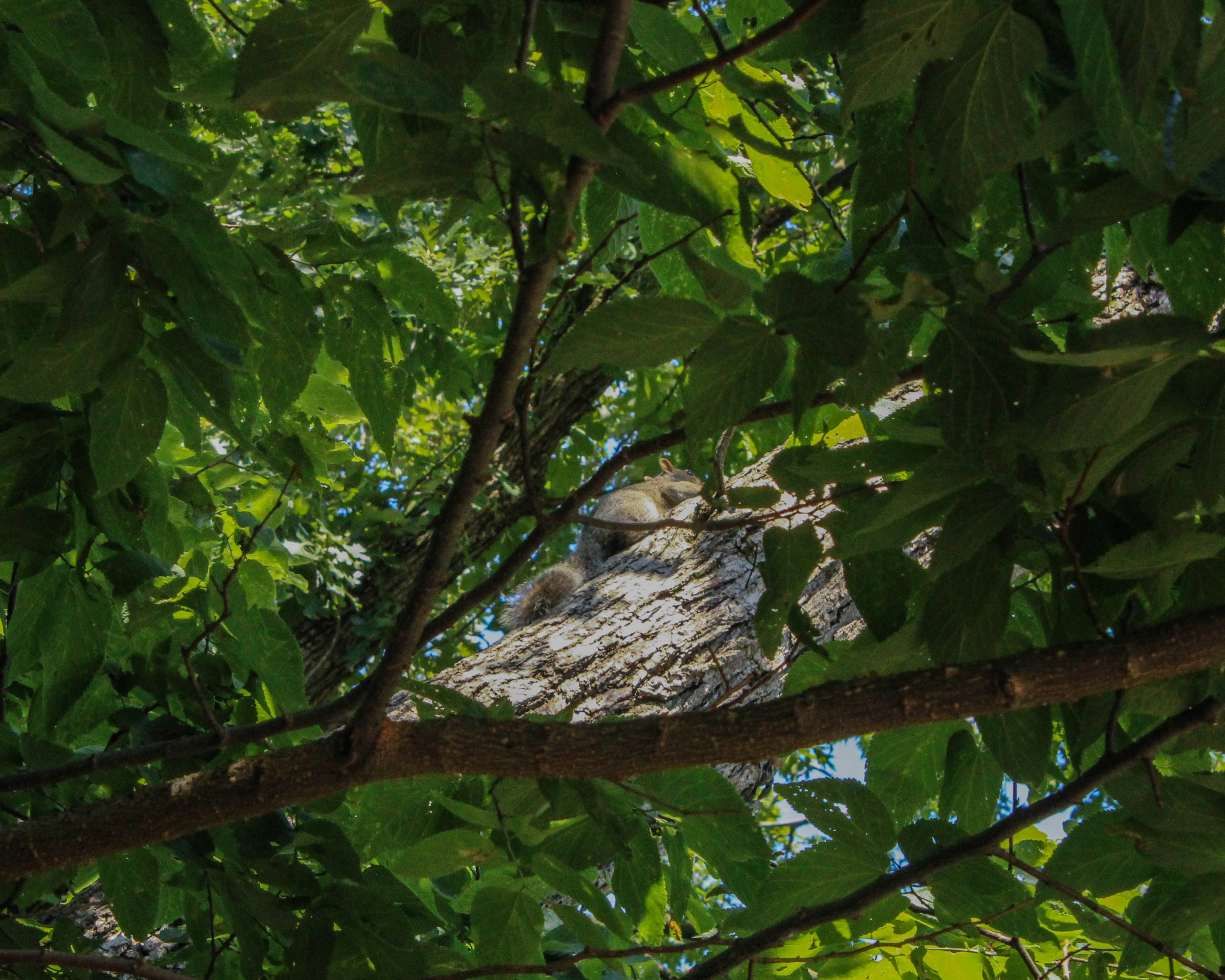 Photo by nephriteonline