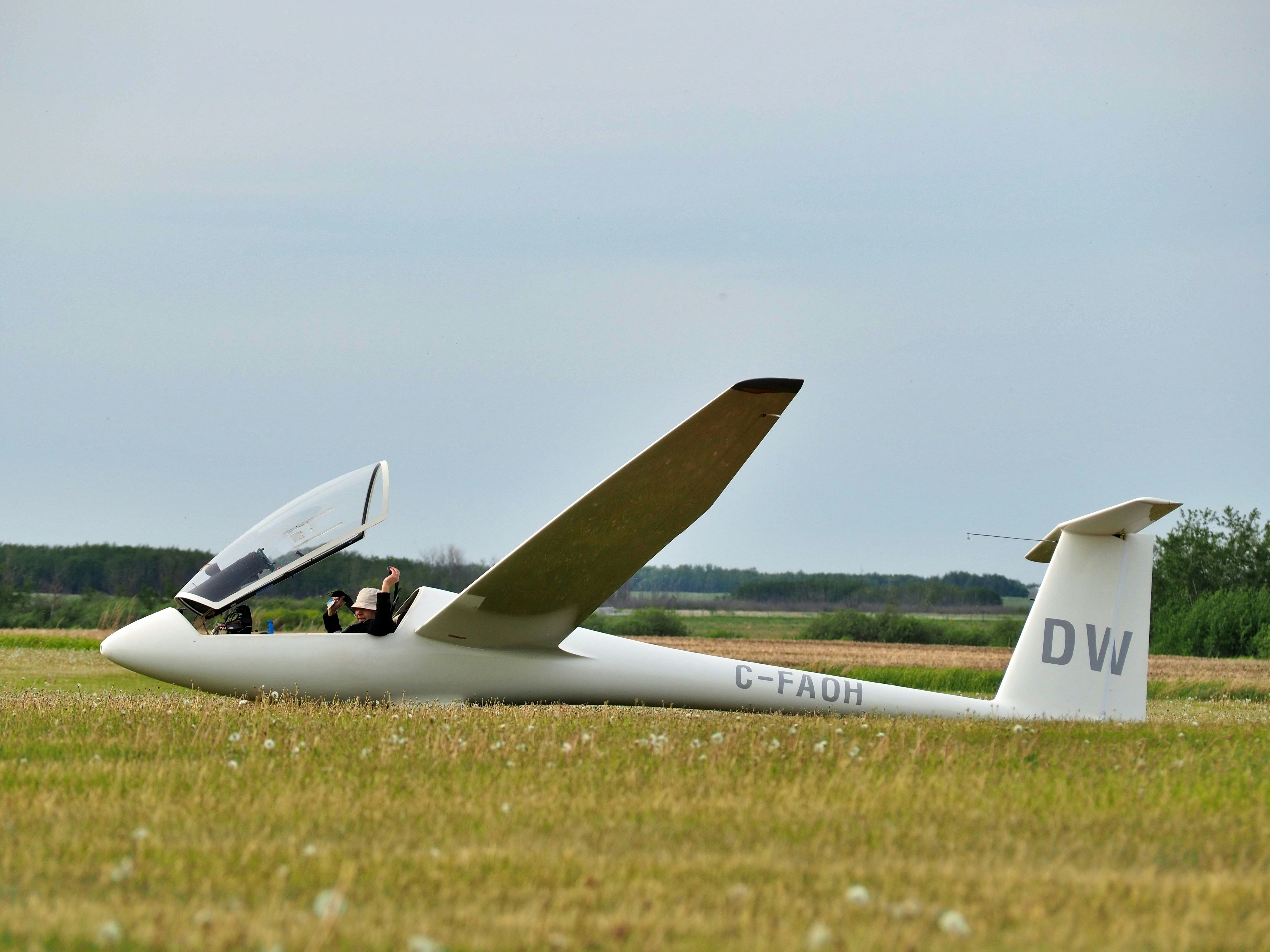 A glider sits in a grassy field.