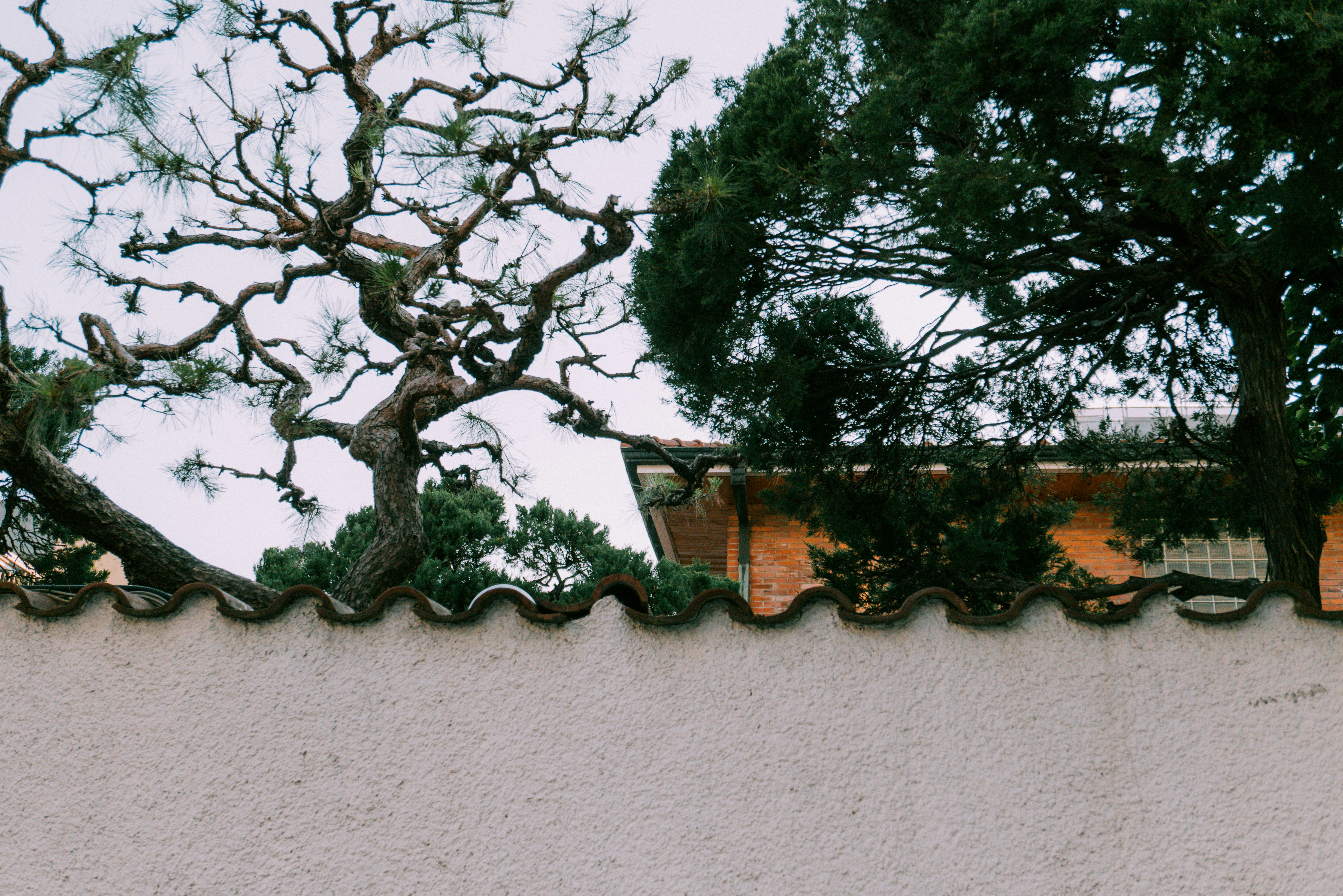 Photo by zerotake