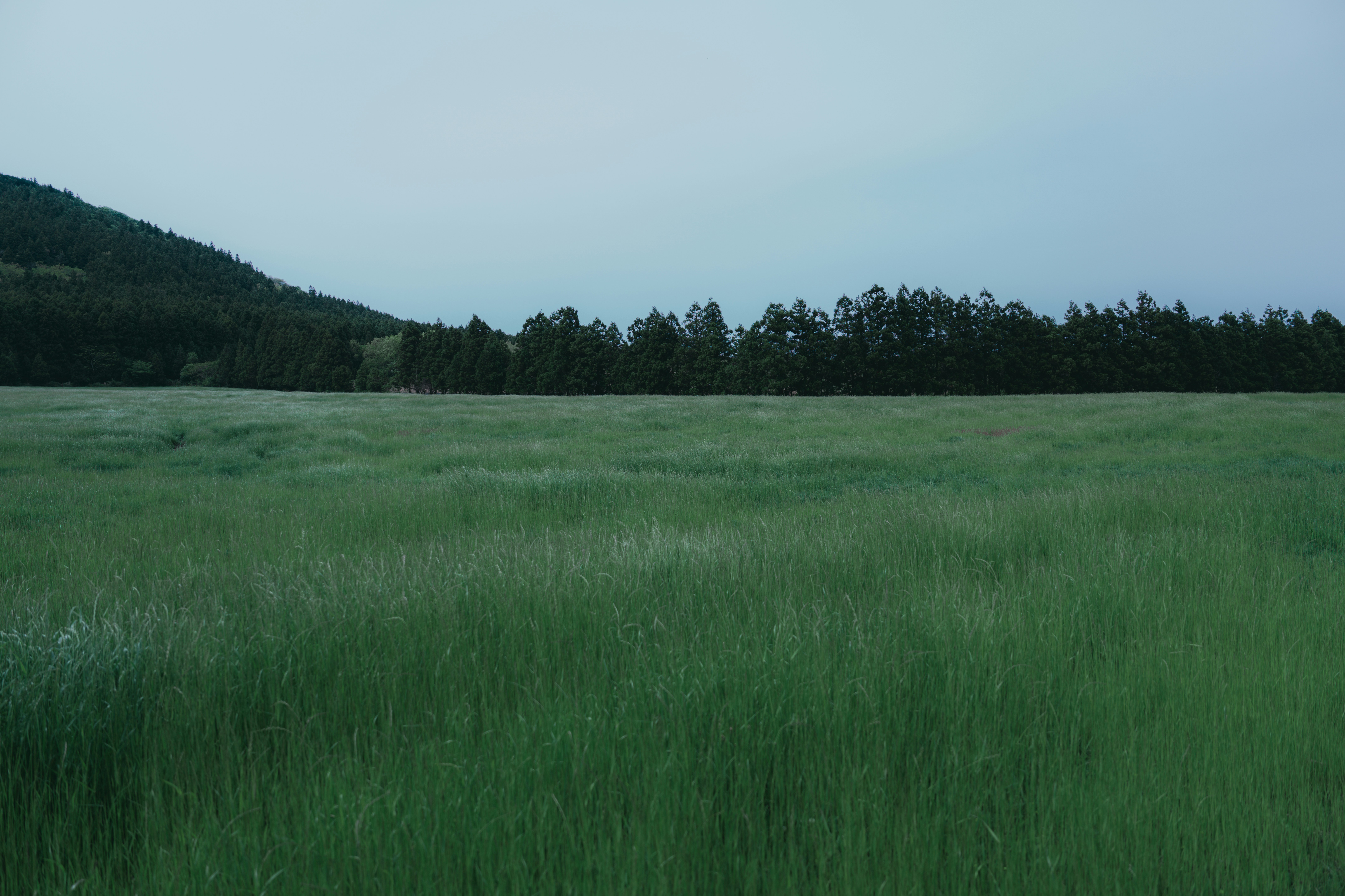 Semaglutide in Upland, NE: A Practical Guide to GLP-1 Weight Loss Support With Local and Online Options