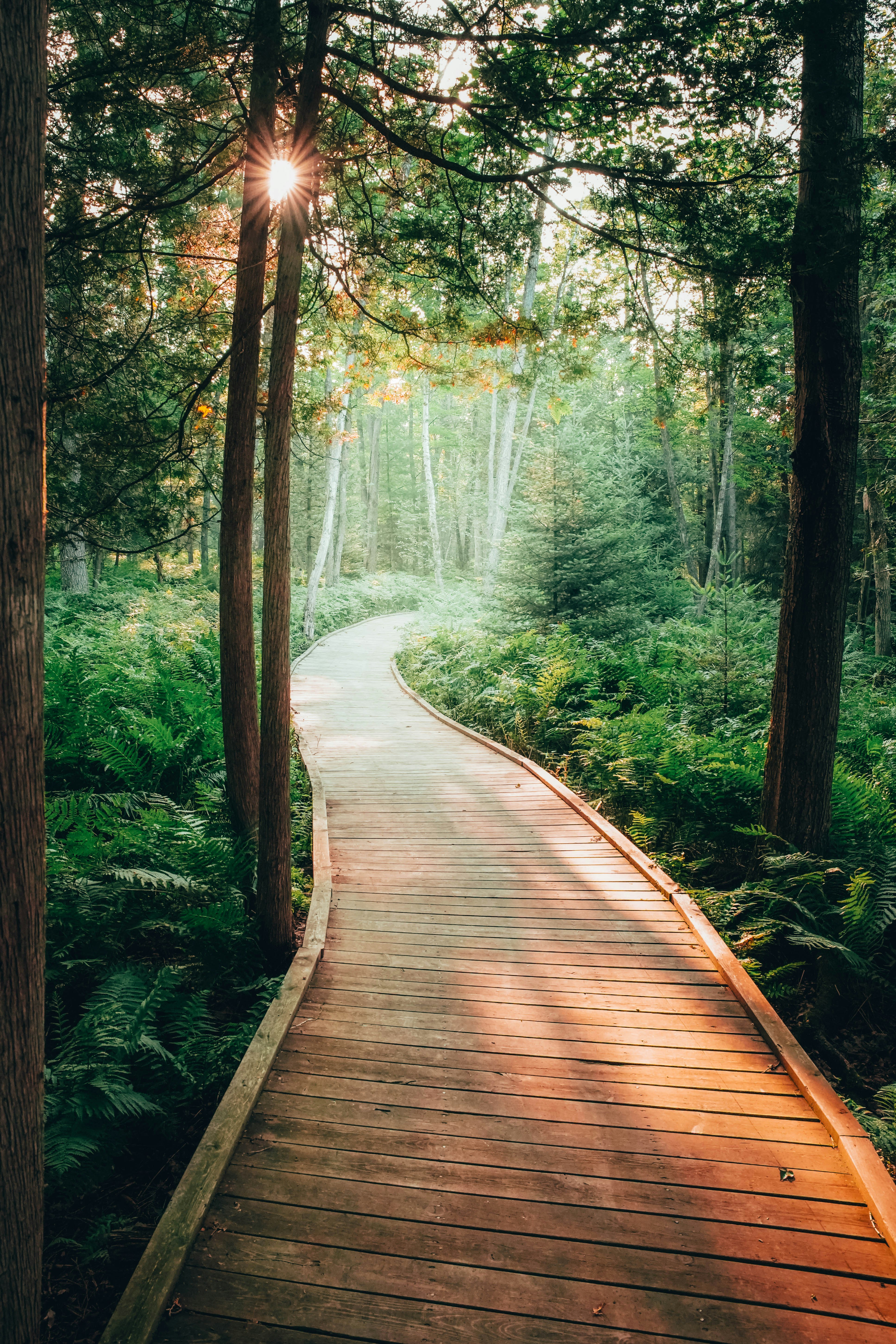 Photo by naturelensephotographer