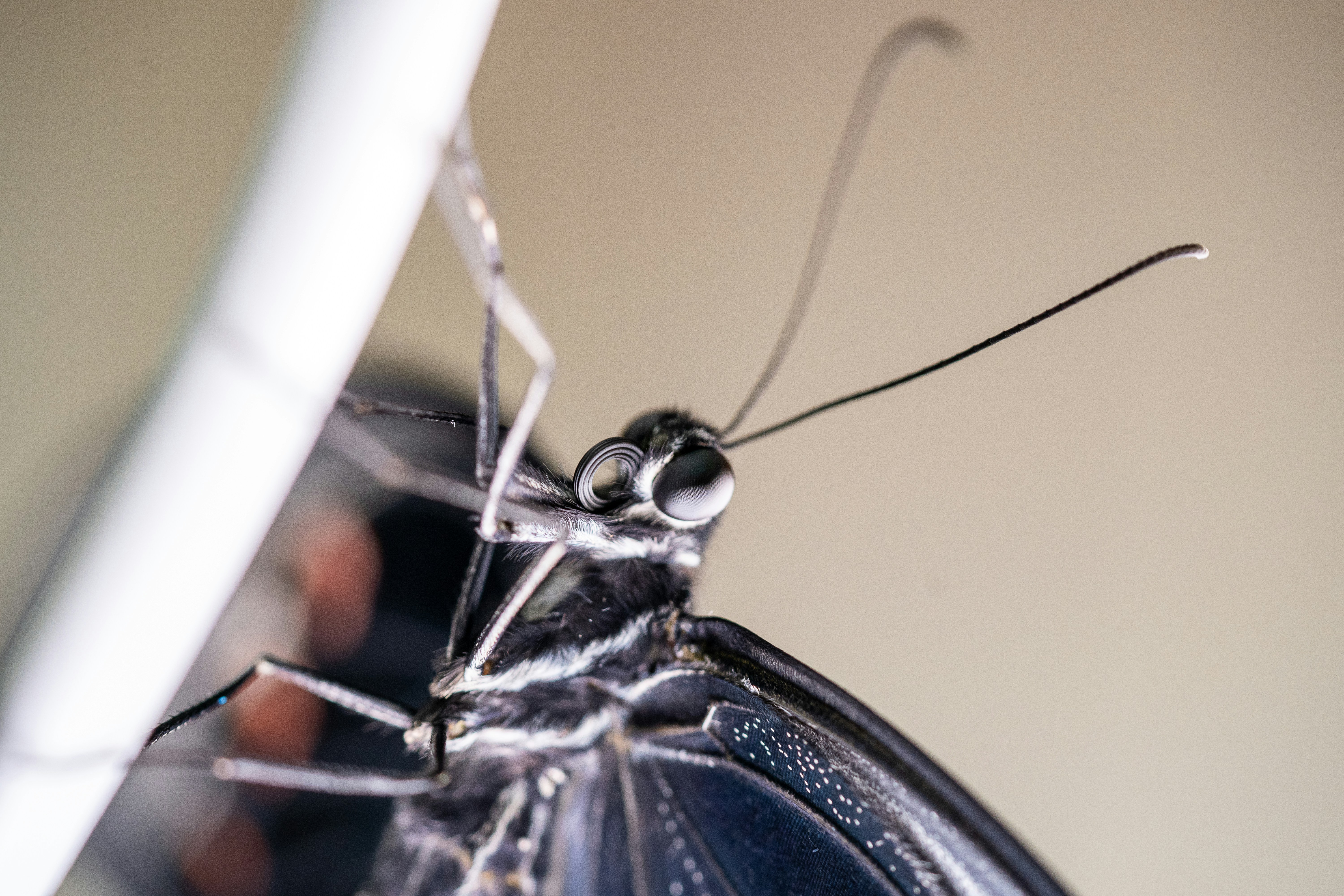10 Bicycle Maintenance Repairs You Can Do at Home