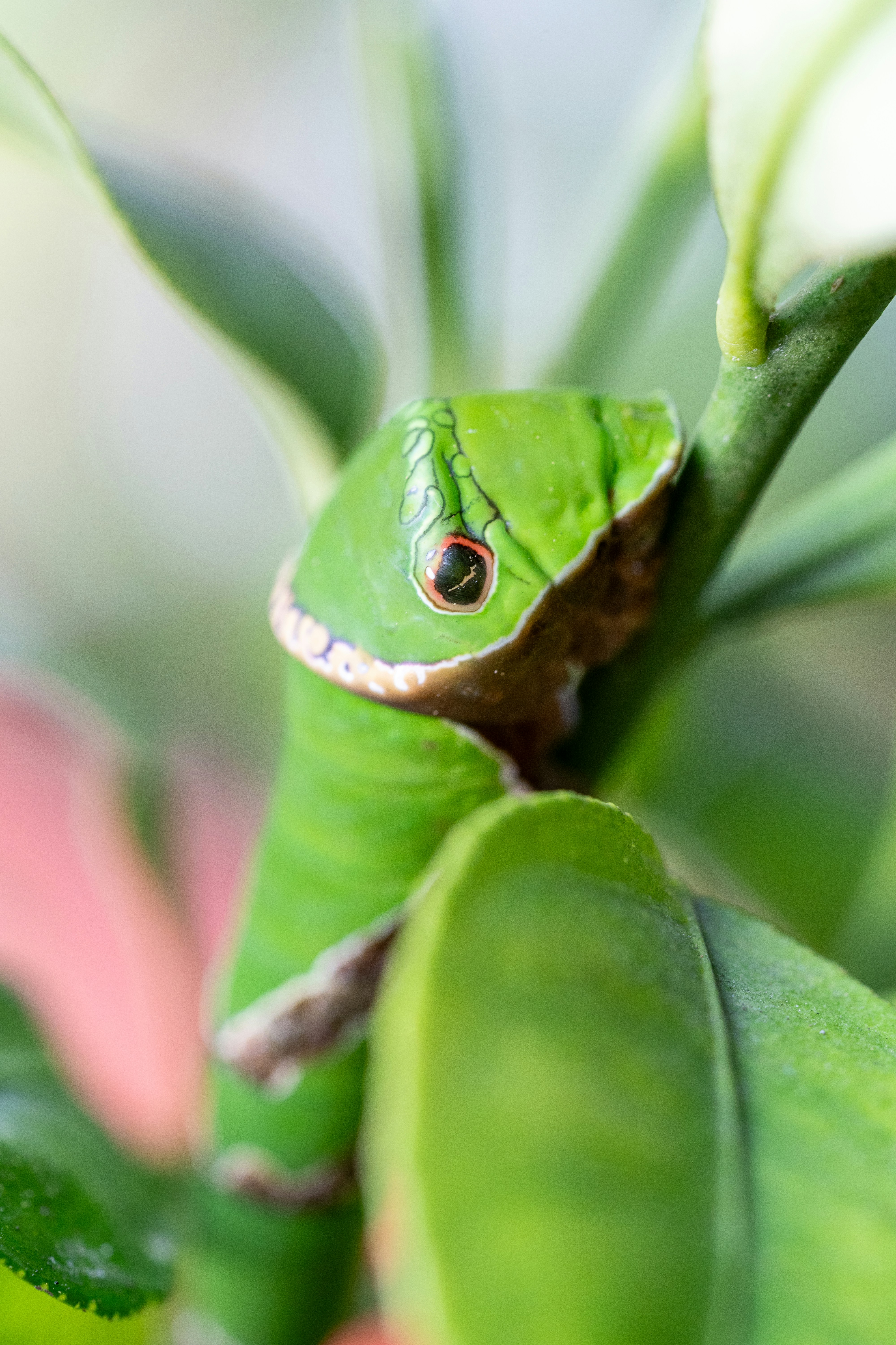 Photo by winstonchen