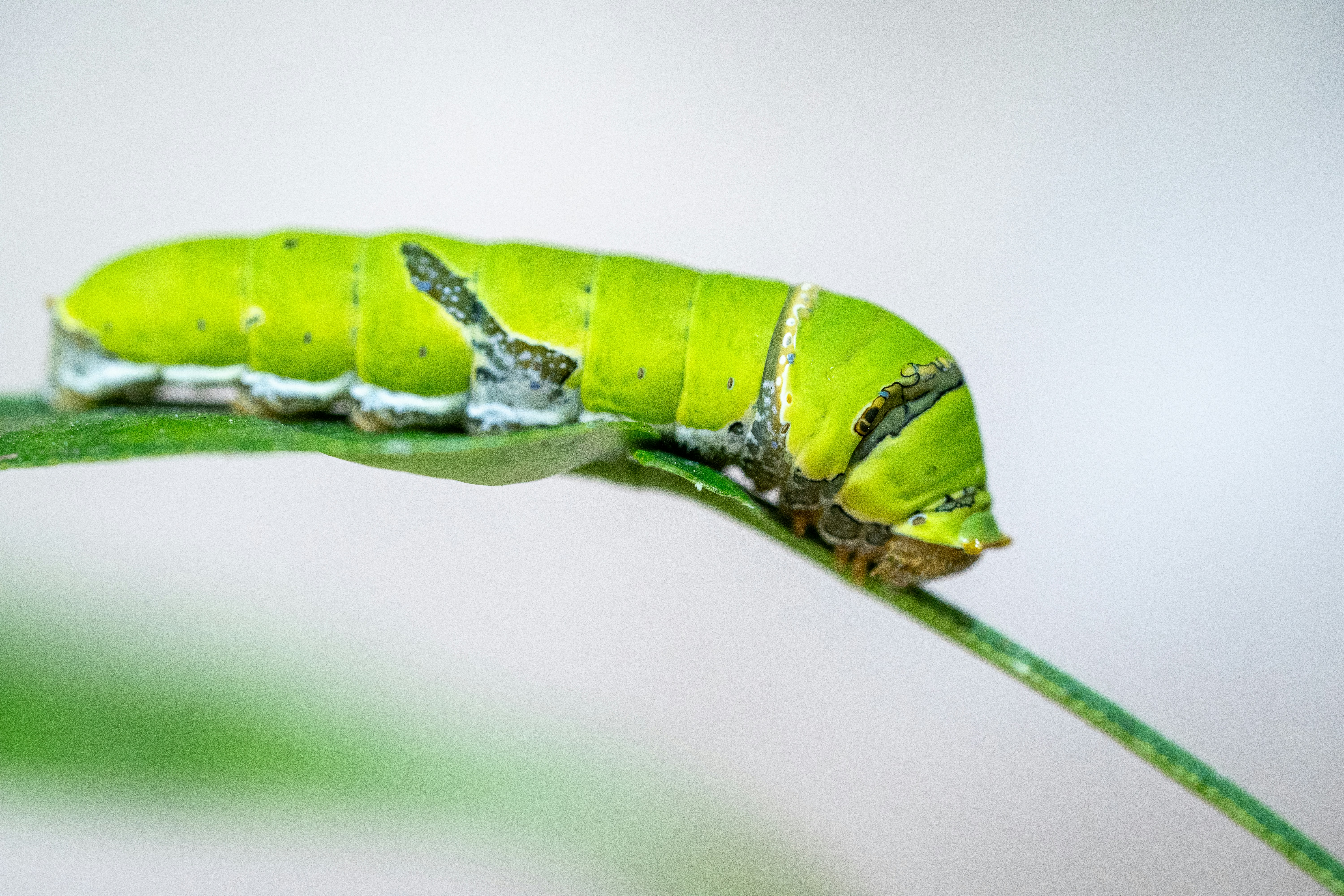 Photo by winstonchen