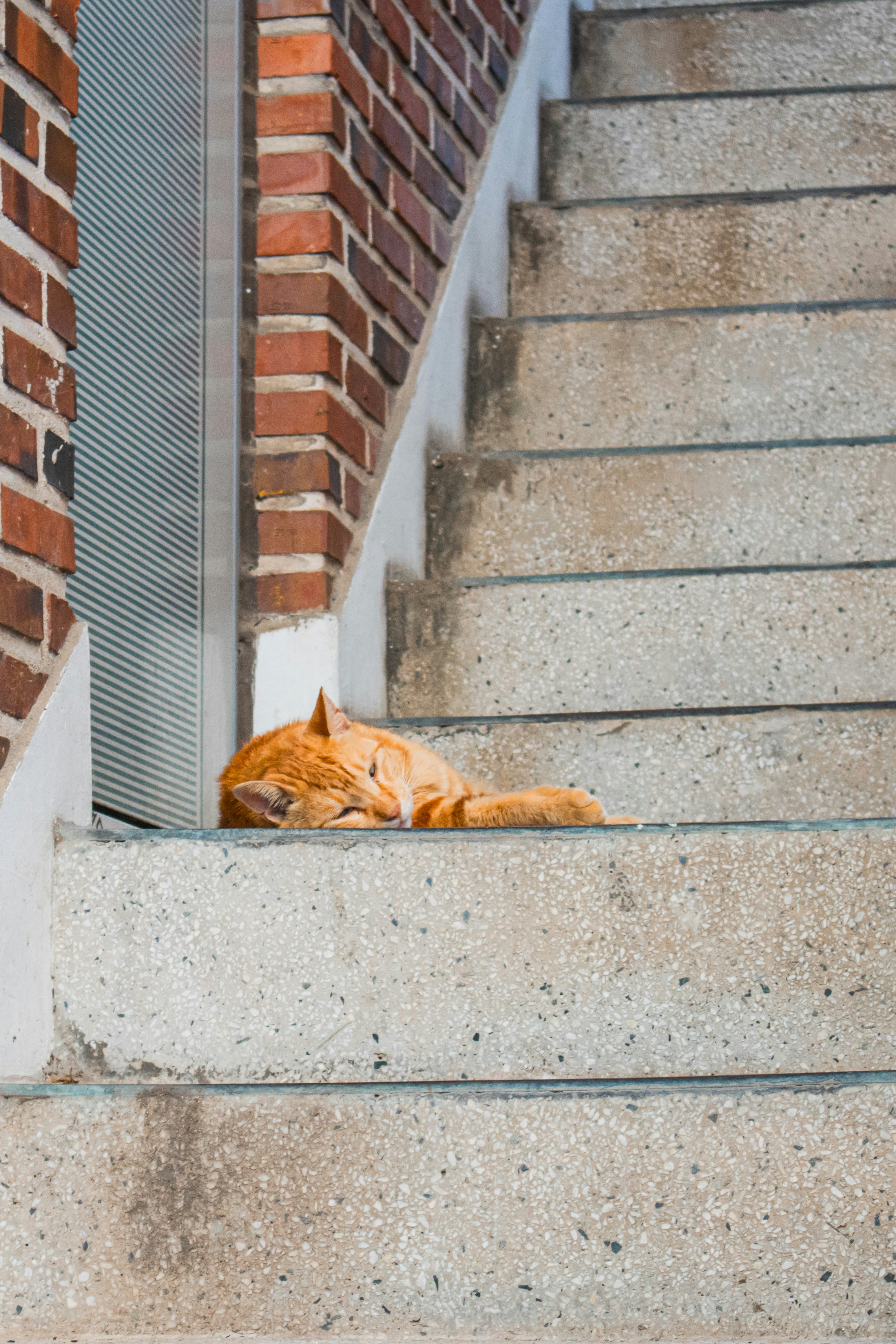 Photo by seoul_lover_lily