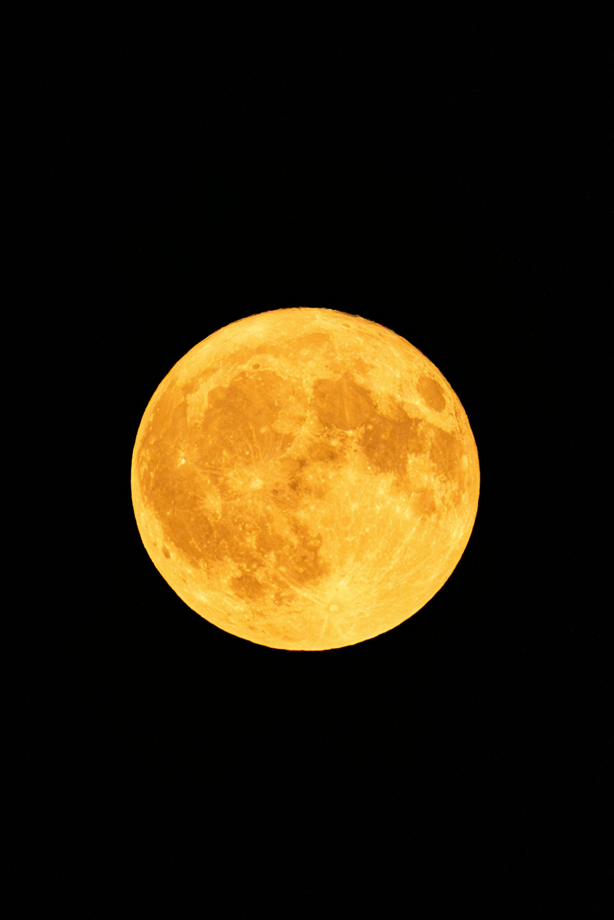 The orange moon shines brightly against the dark sky.