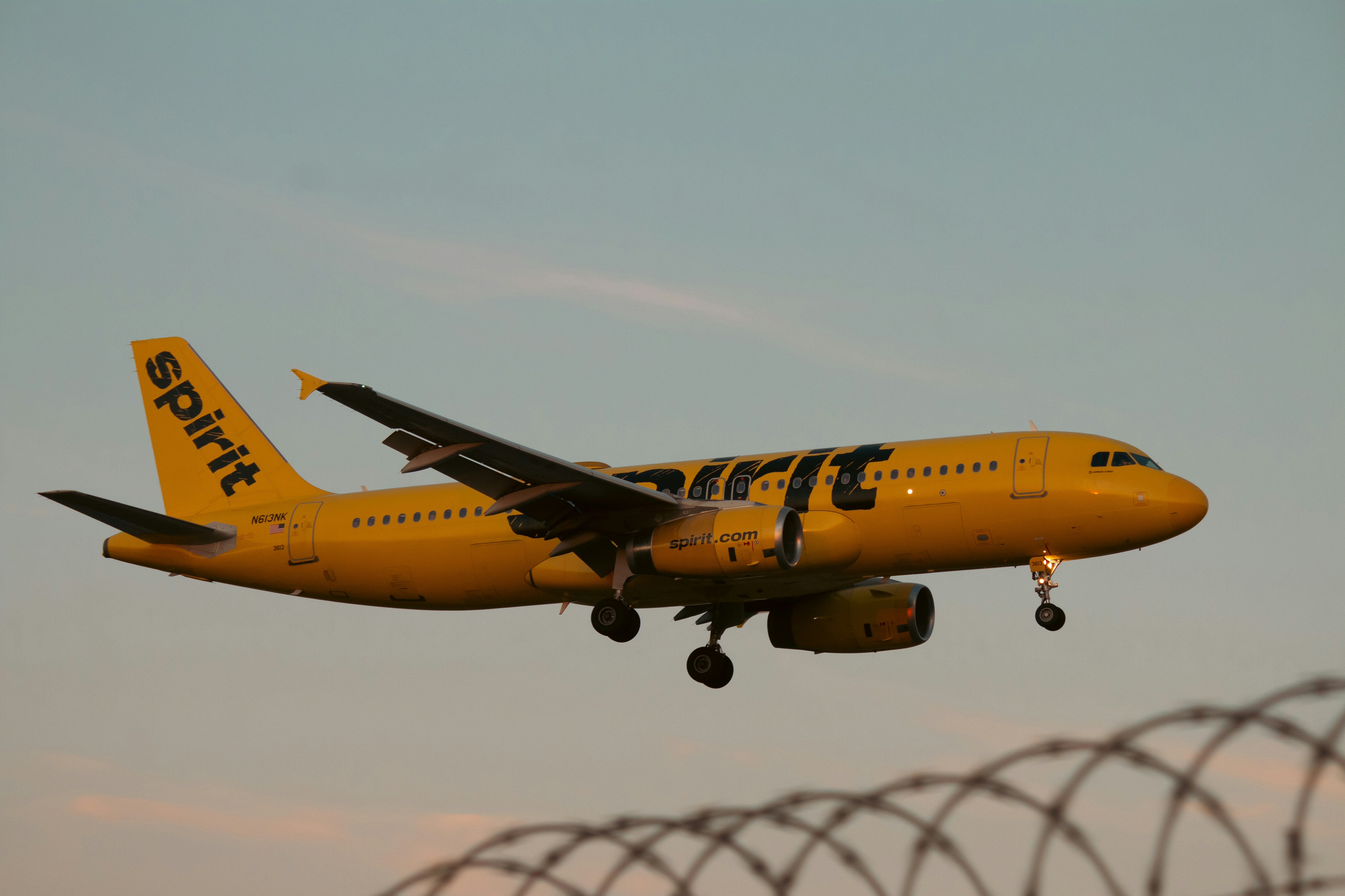 A spirit airlines plane prepares to land.