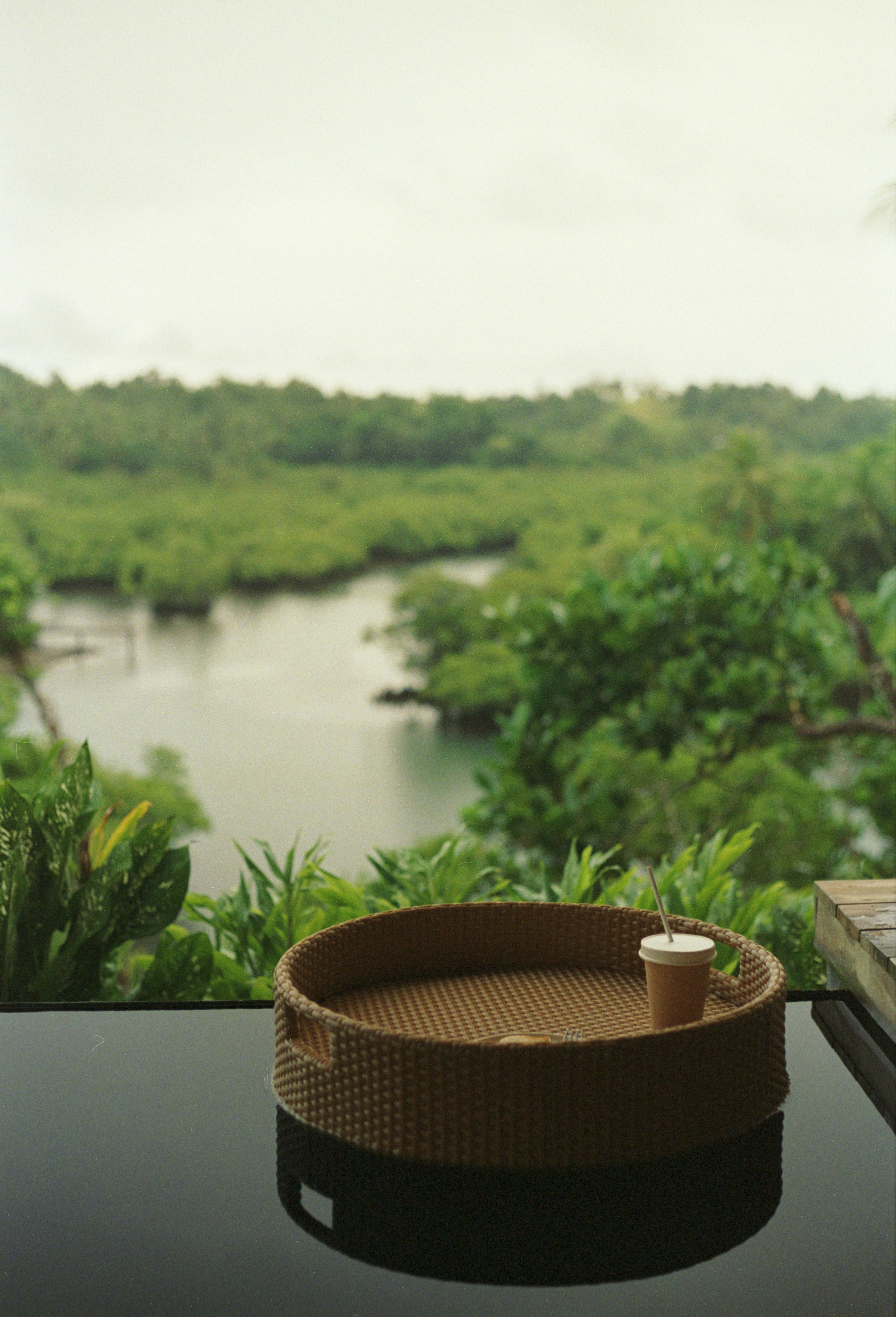 Drink on a tray overlooks a lush landscape.