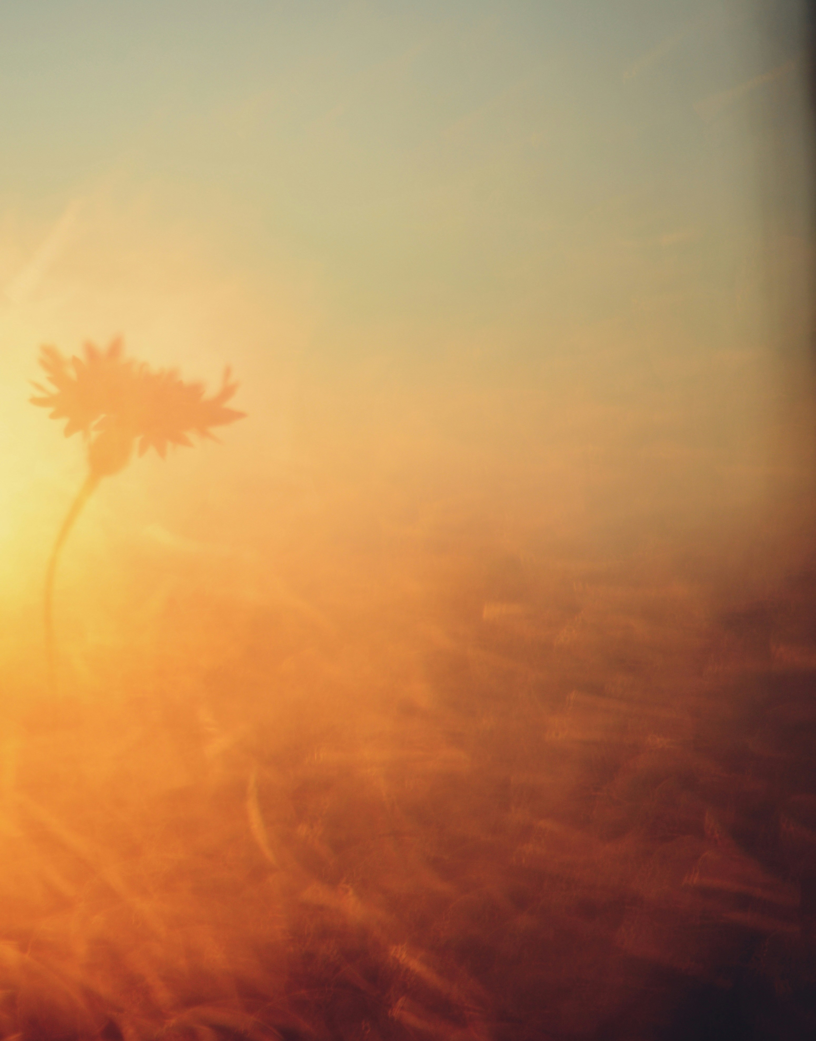 Photo by cherstve_pechivo