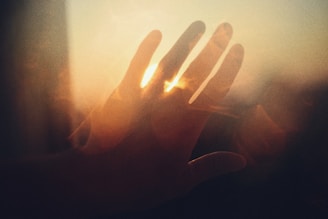 Liberte-se do Passado: Como o Perdão é a Chave para a Cura, Segundo 'Você Pode Curar Sua Vida'