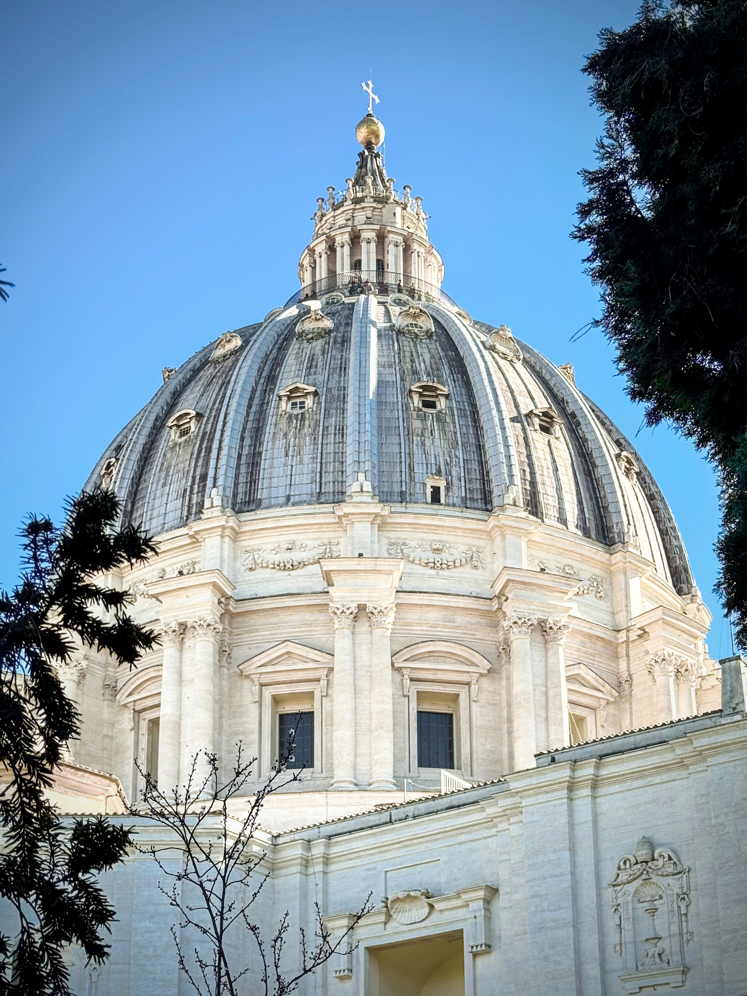La cupola della basilica di San Pietro si erge alta.