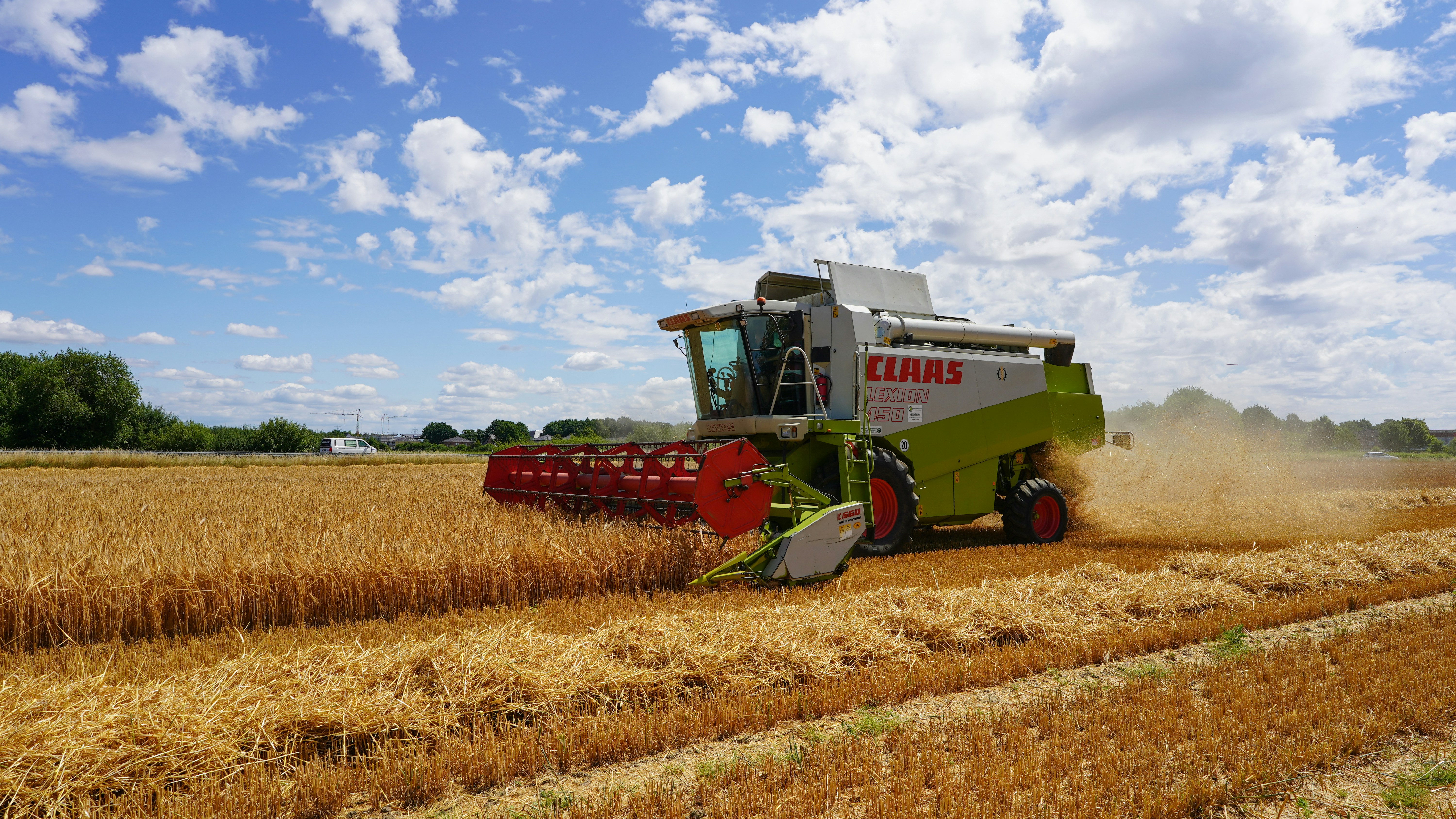 Photo by hamburgmeinefreundin