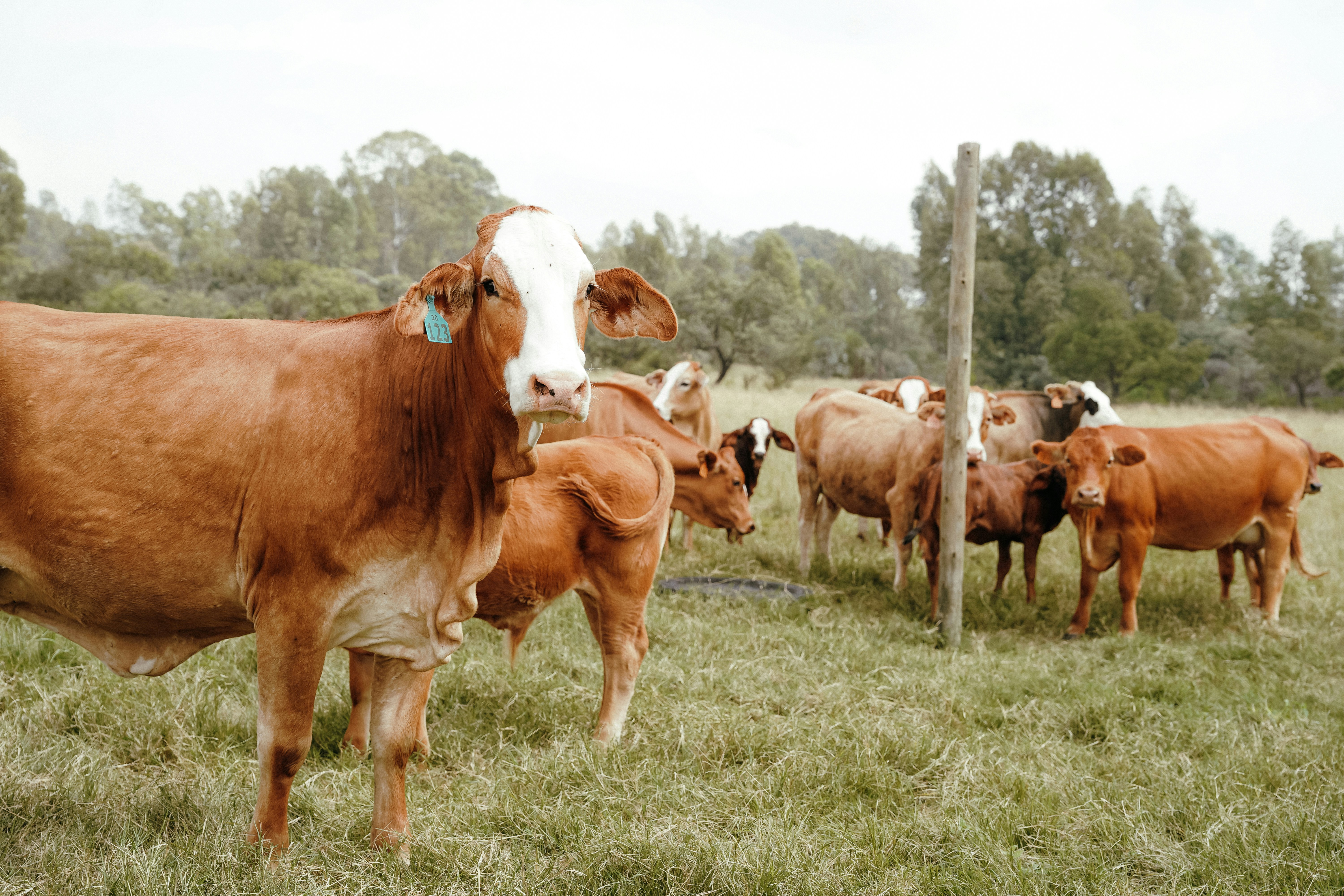 Photo by mmac_creative_studio_and_design