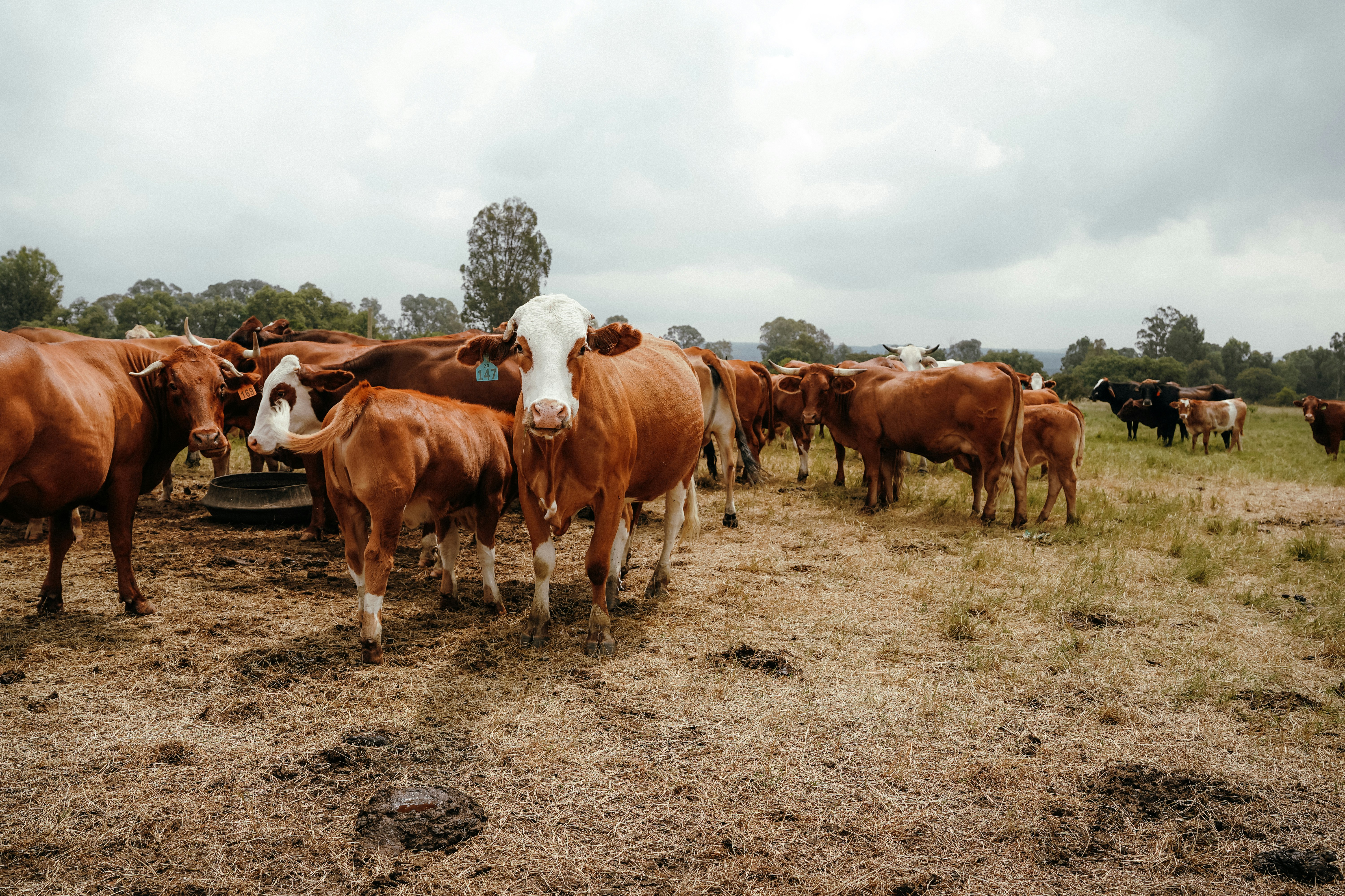 Photo by mmac_creative_studio_and_design