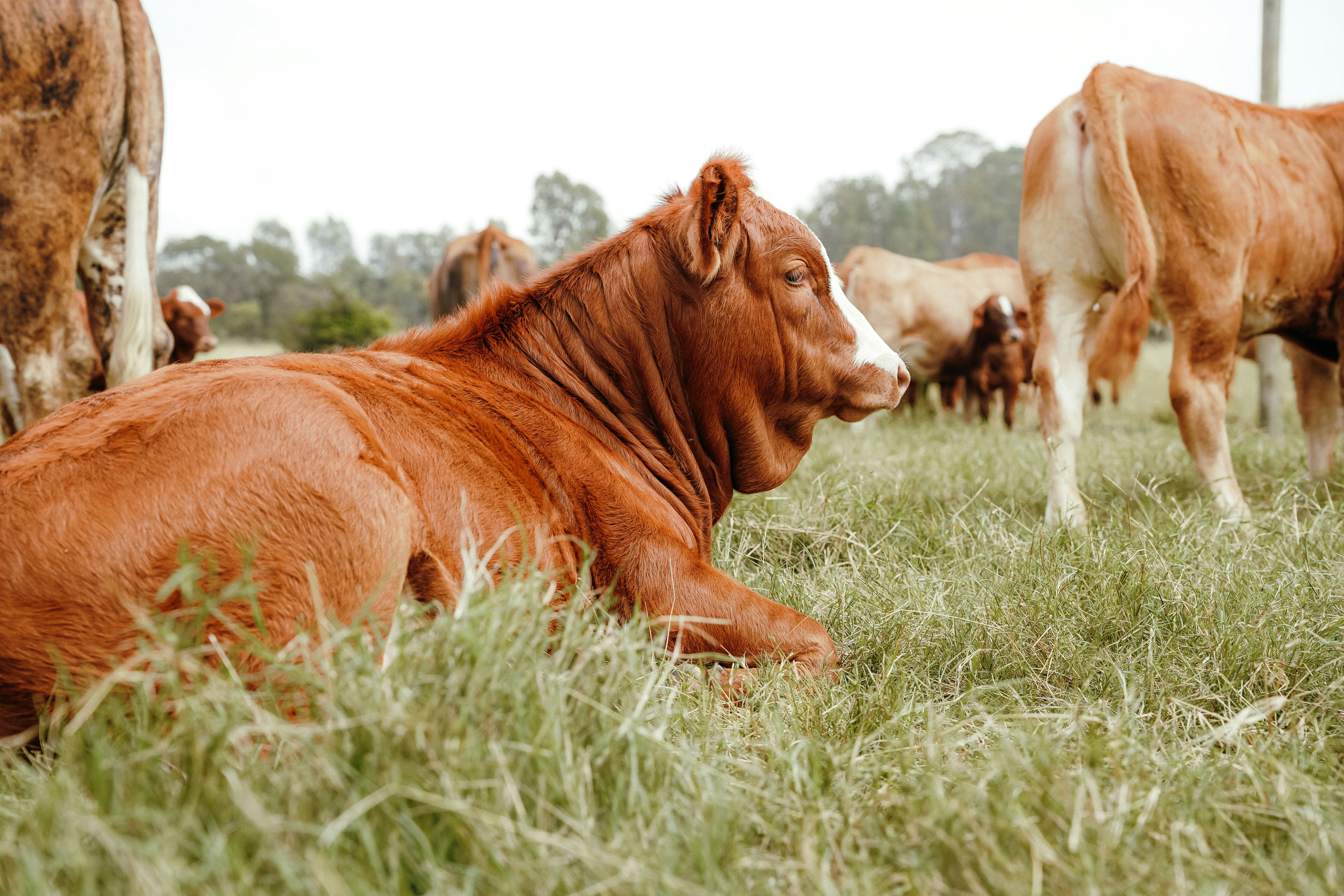 Photo by mmac_creative_studio_and_design