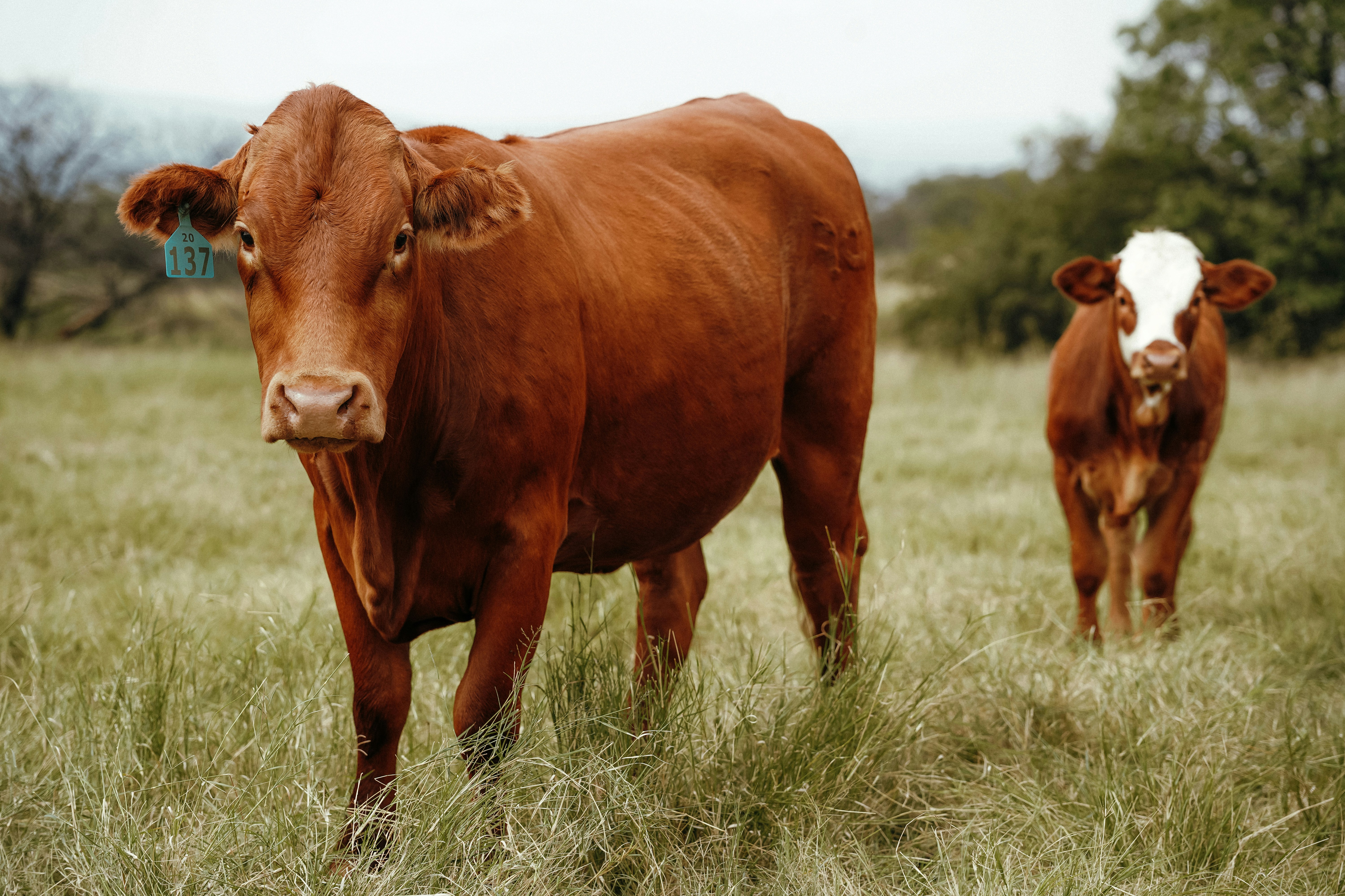 Photo by mmac_creative_studio_and_design