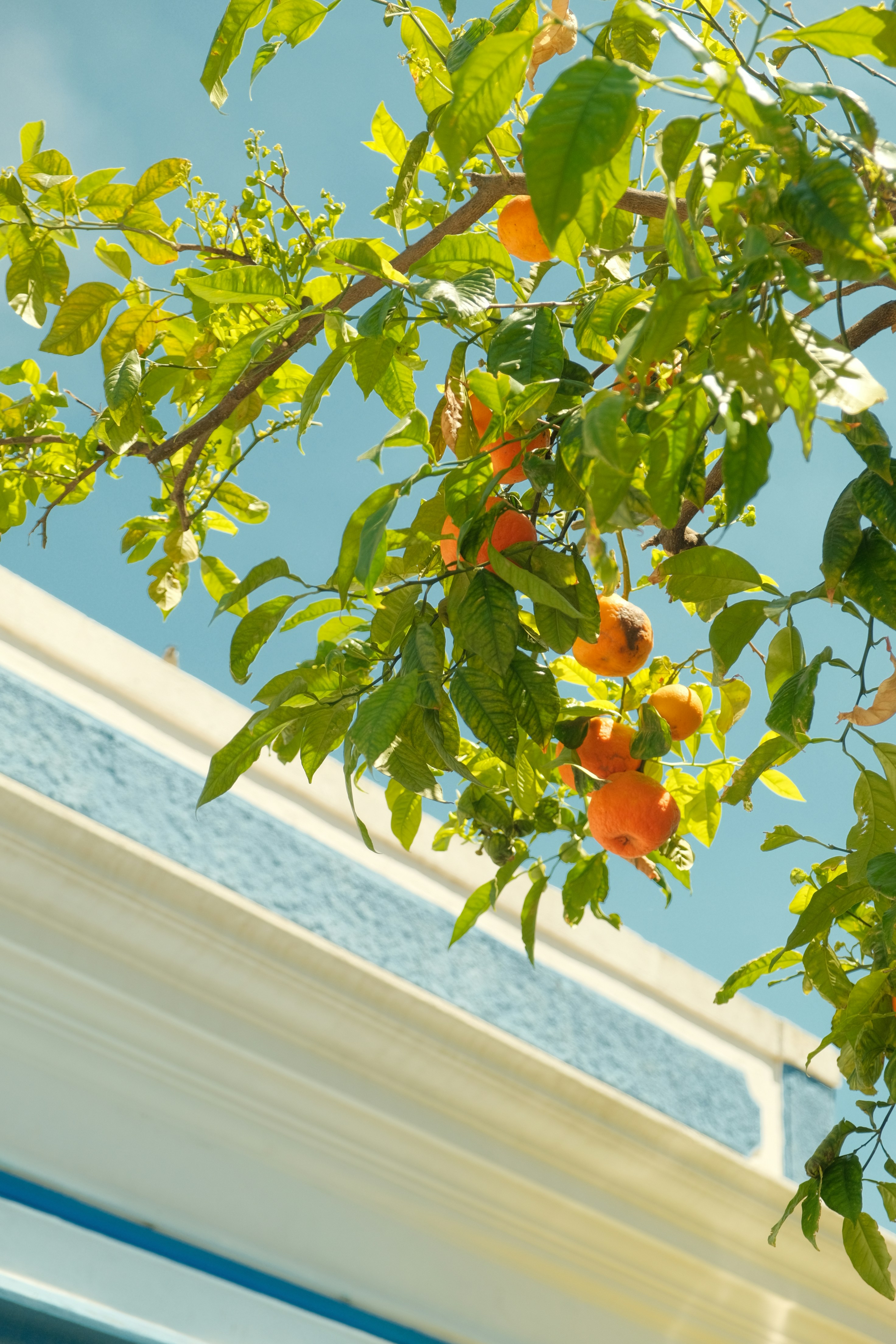 Photo by sarahabilova