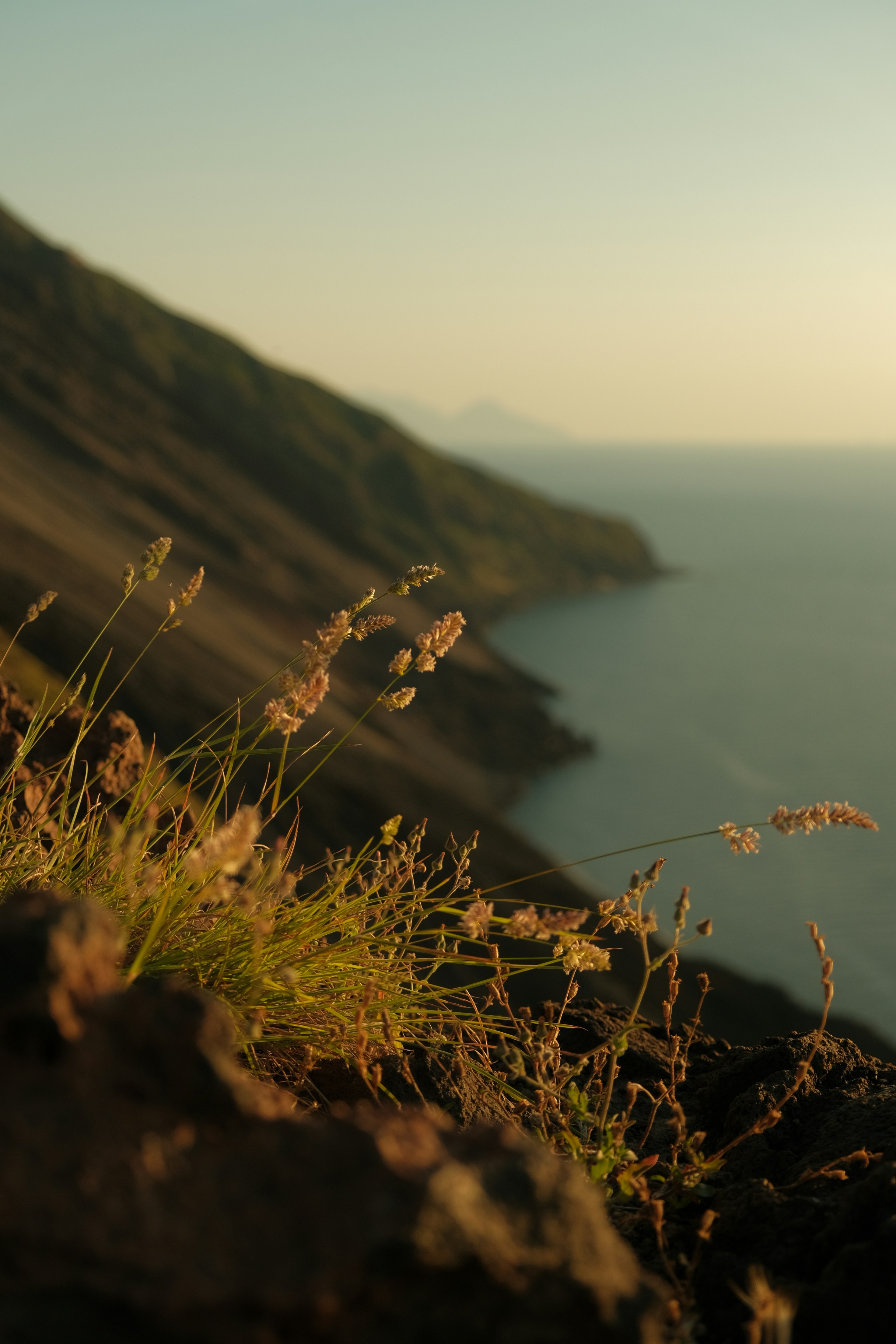 Photo by sarahabilova