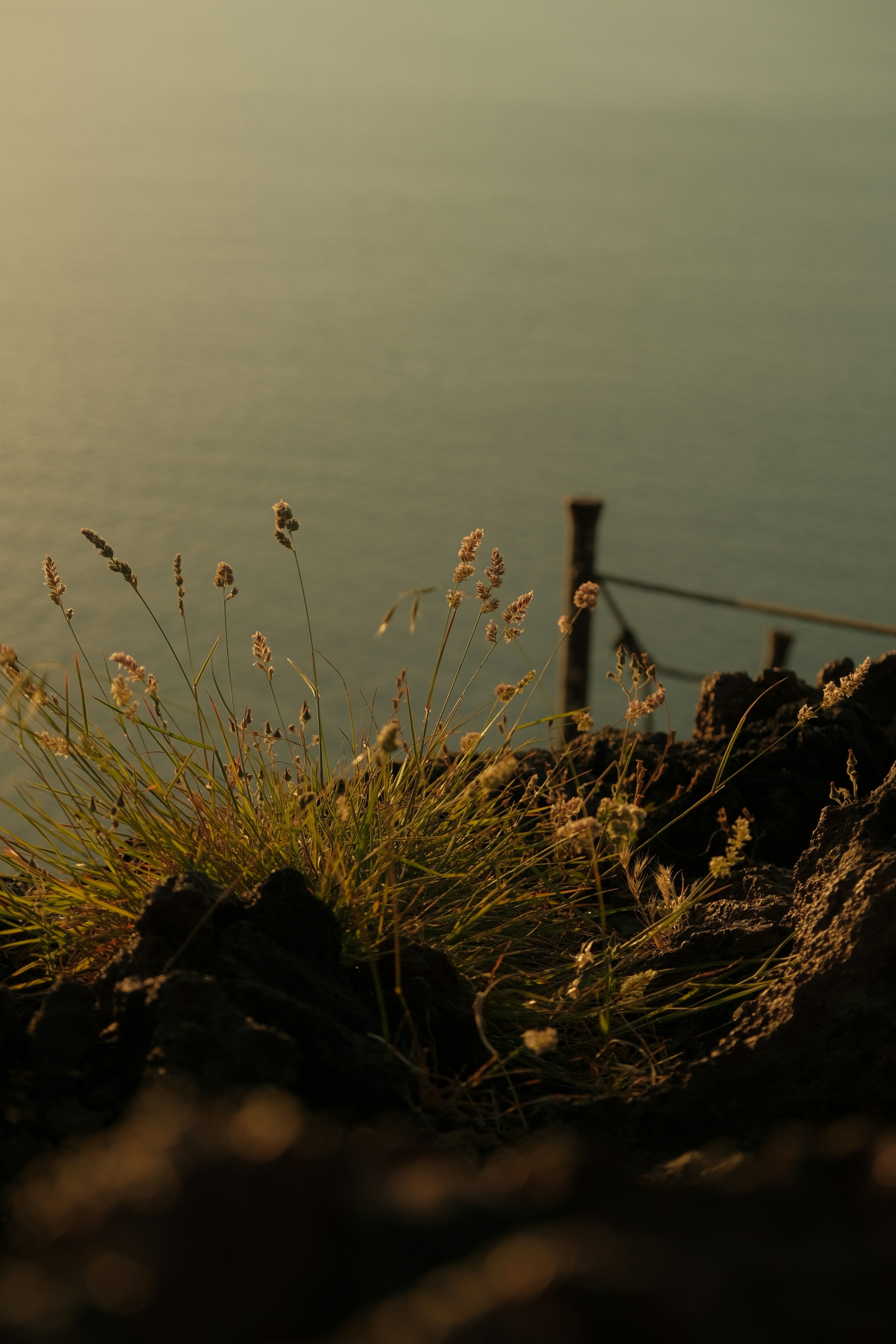 Photo by sarahabilova