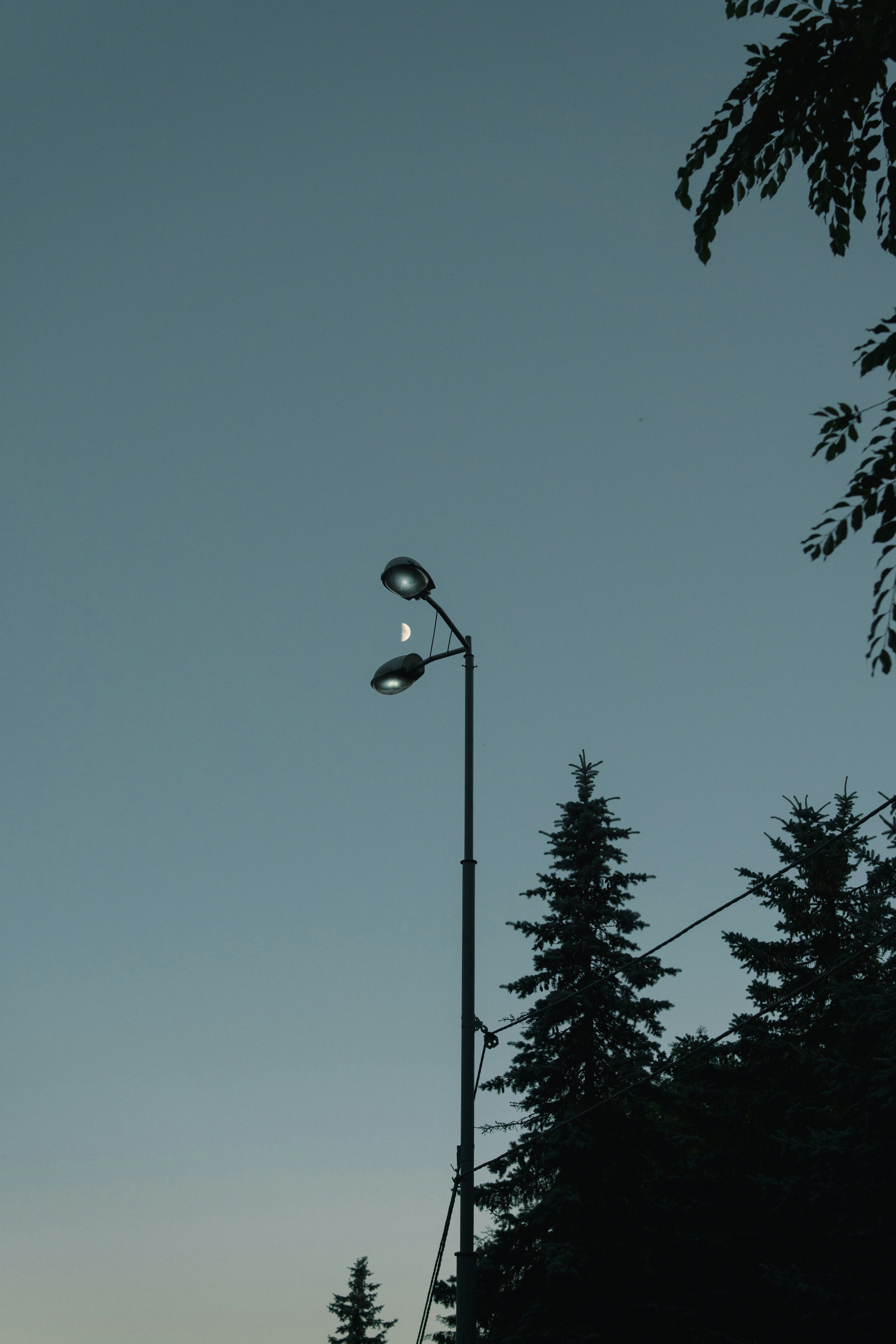 Photo by nazariykovalov