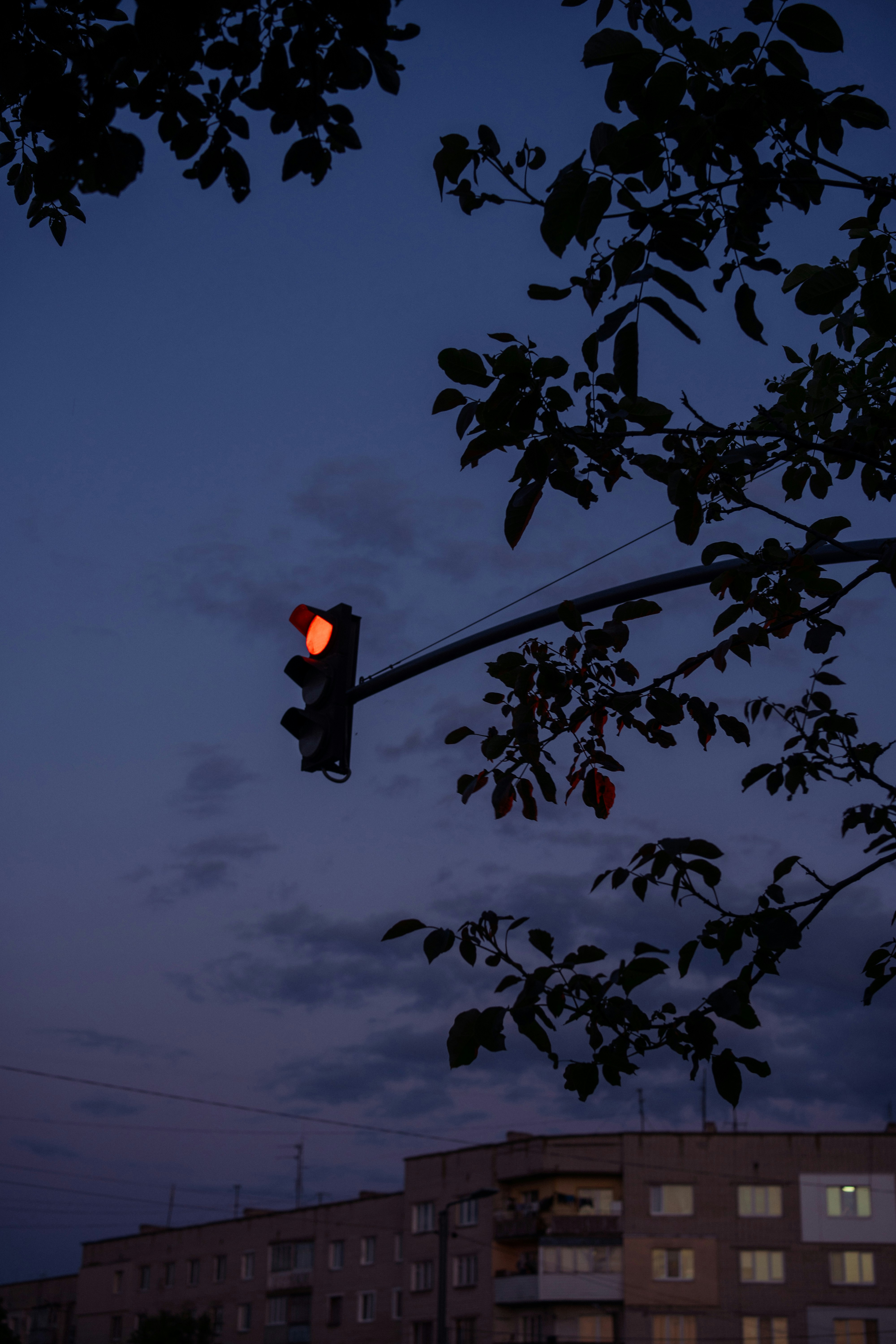 Photo by nazarii_kovalov