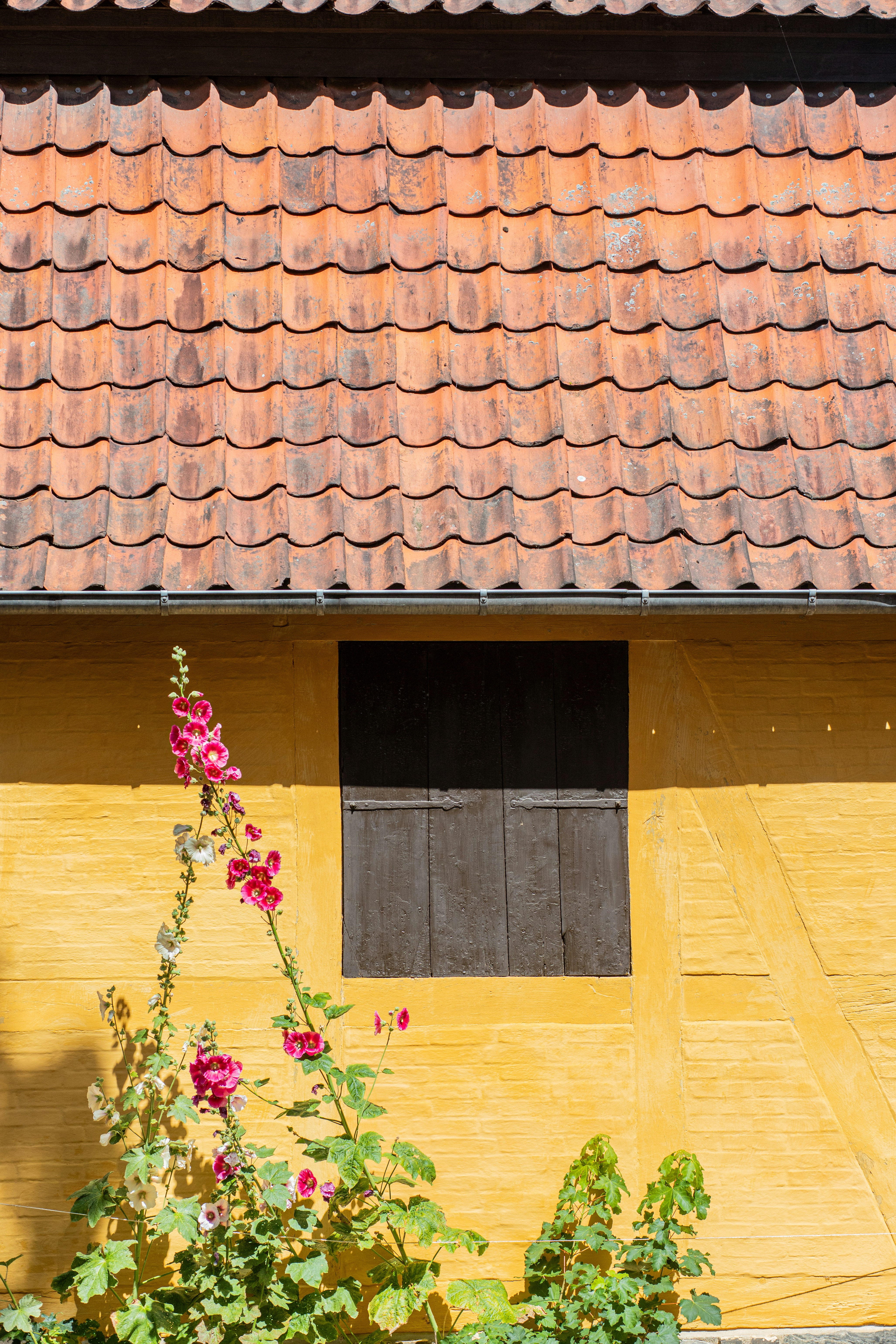 Yellow wall with red roof and pink flowers.