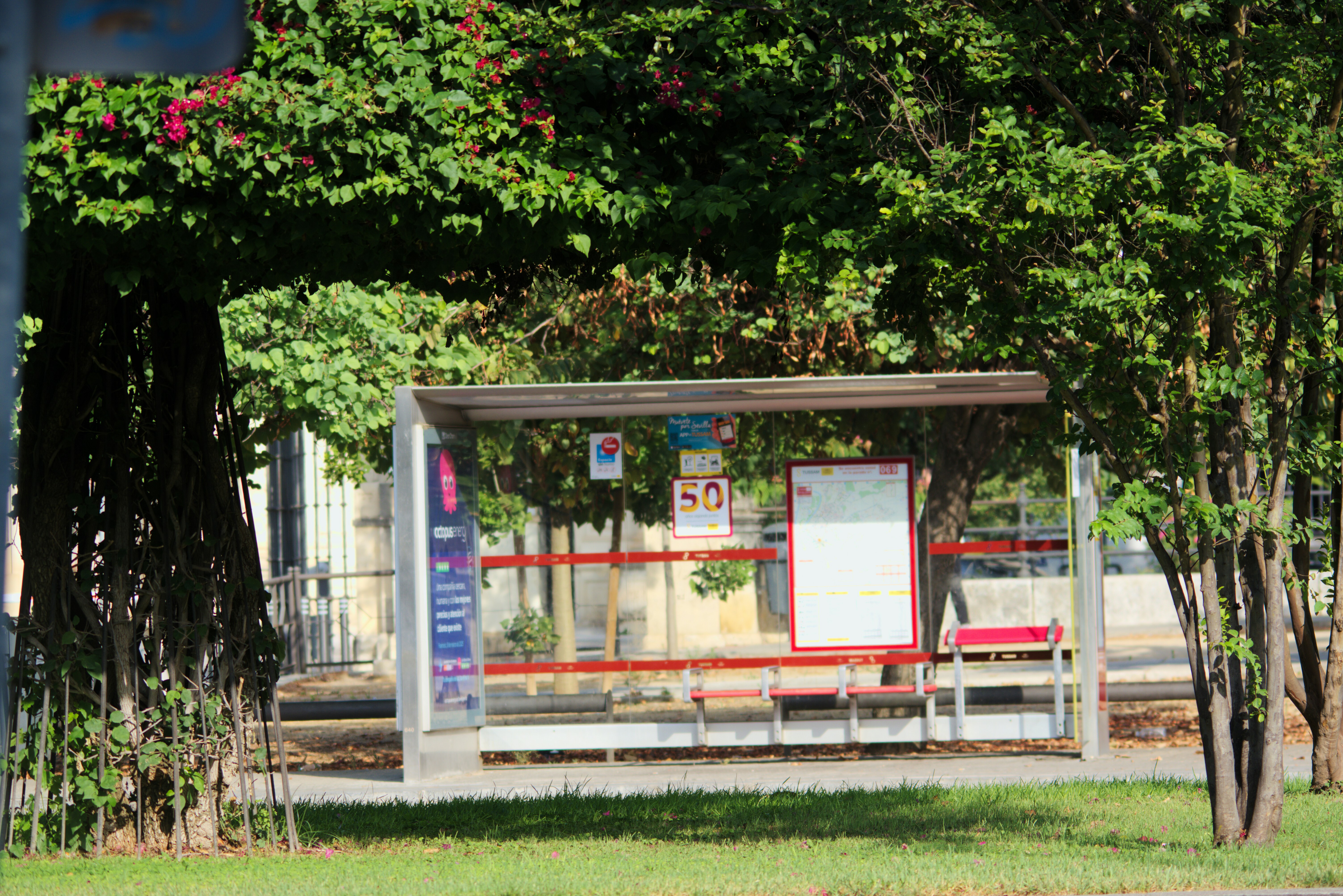 A bus stop stands empty under trees.