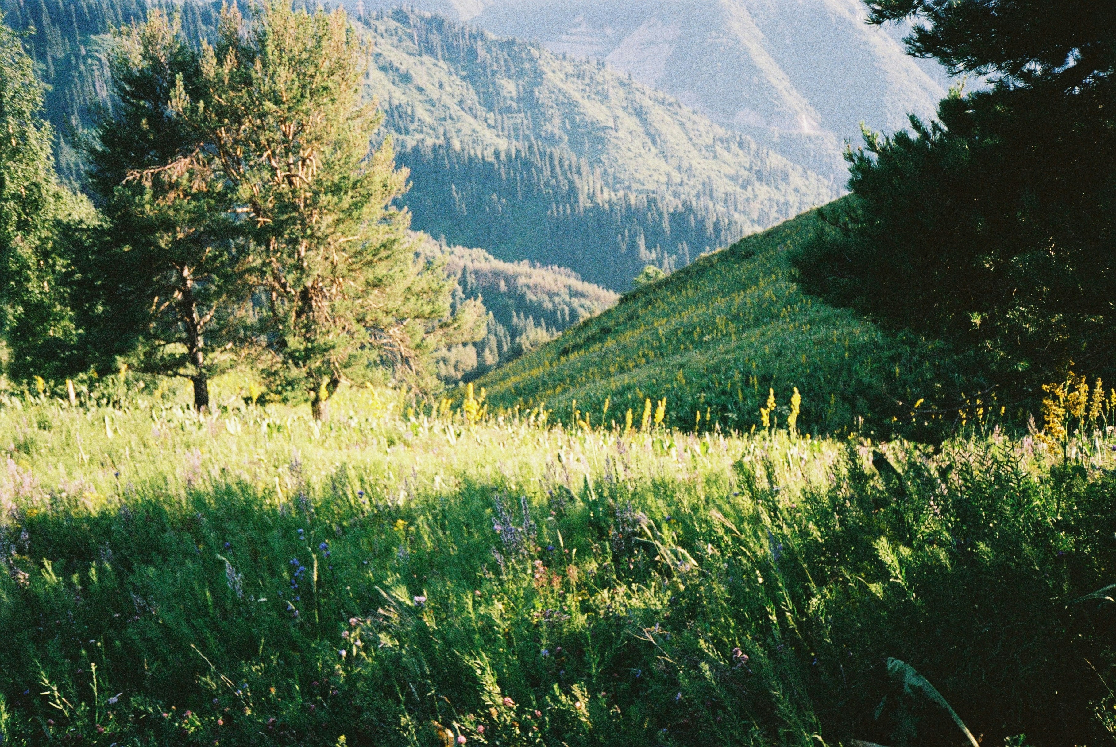 Photo by dmitrii_filatov