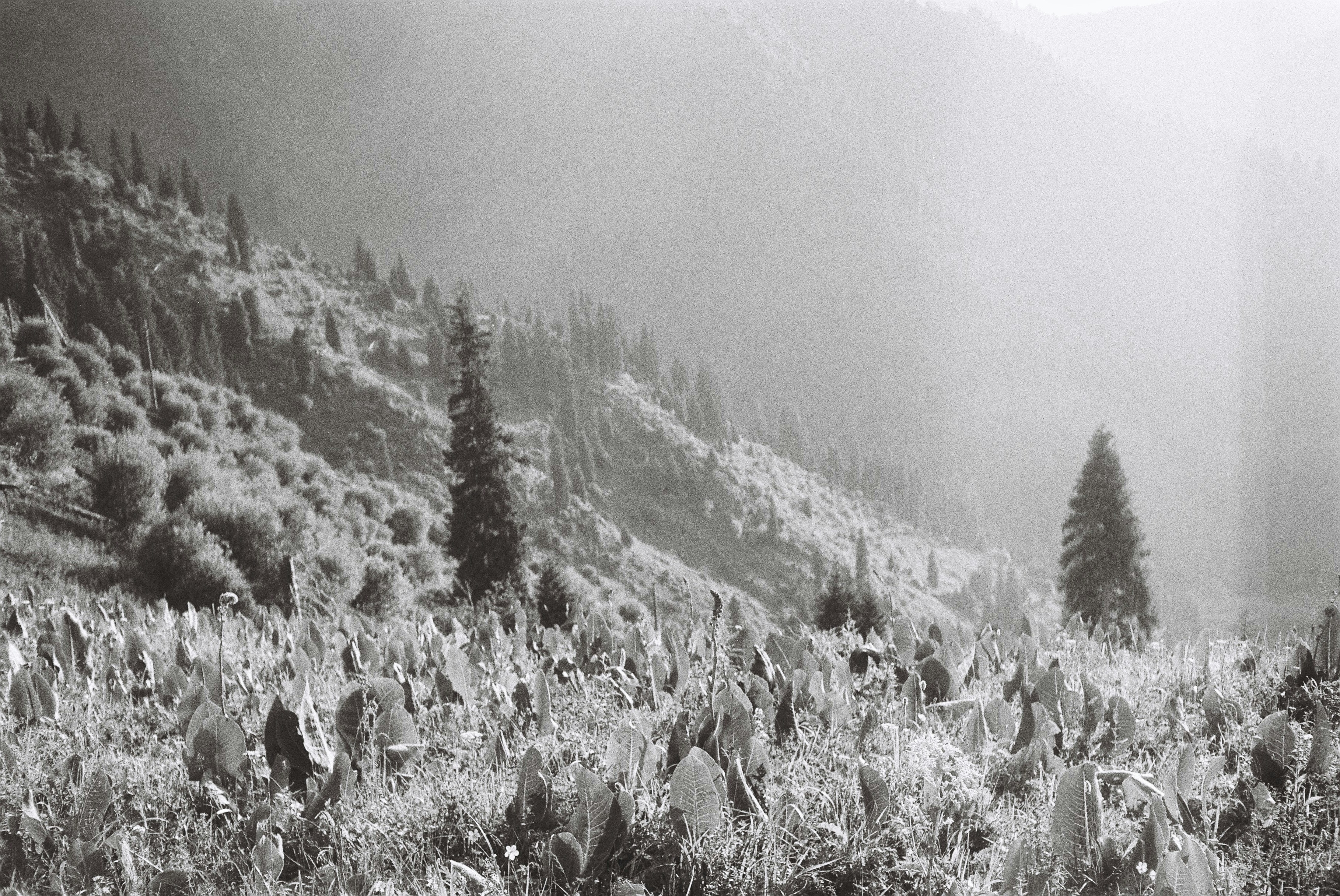 Photo by dmitrii_filatov