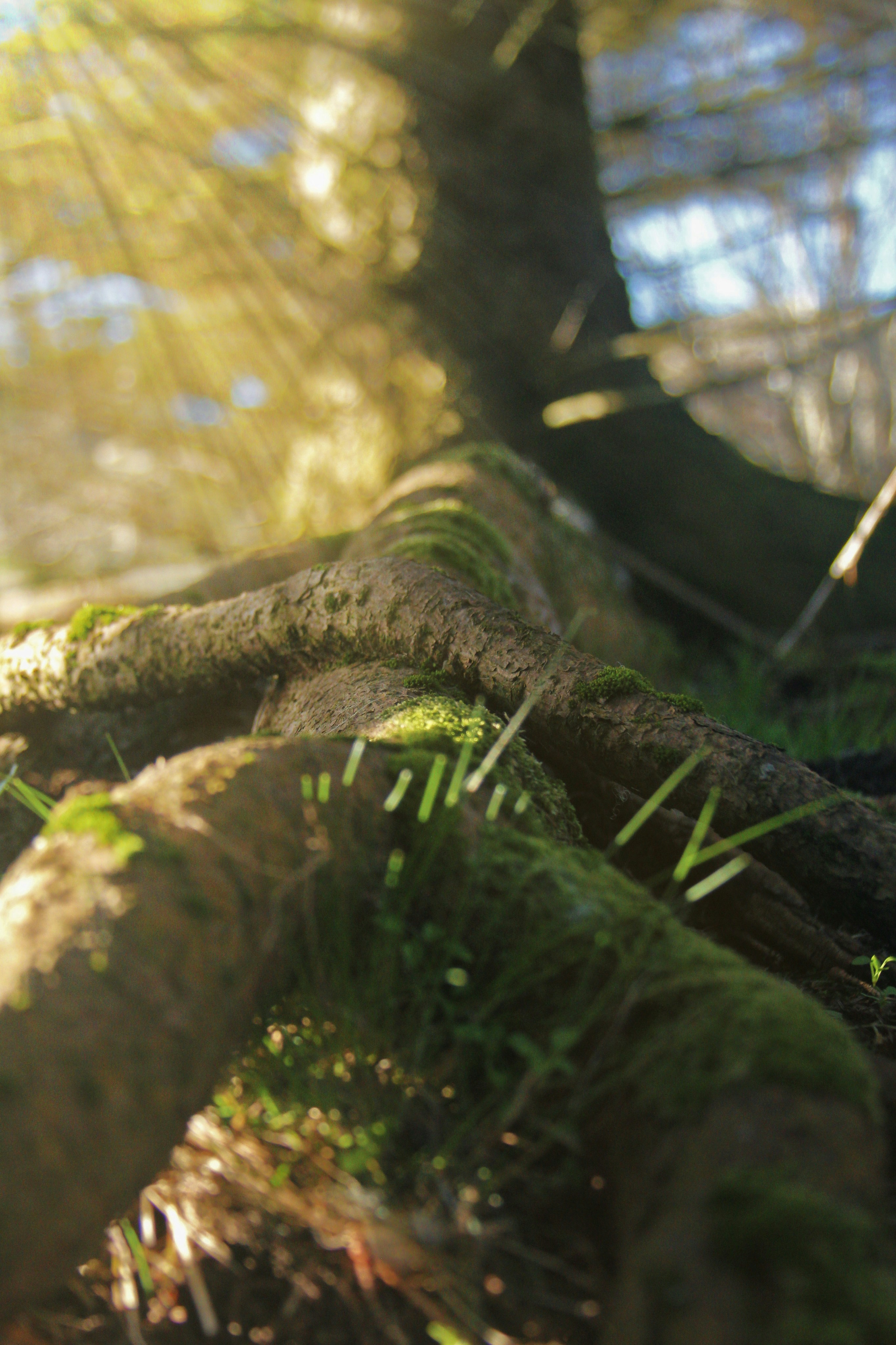 Photo by kristinokarlsen