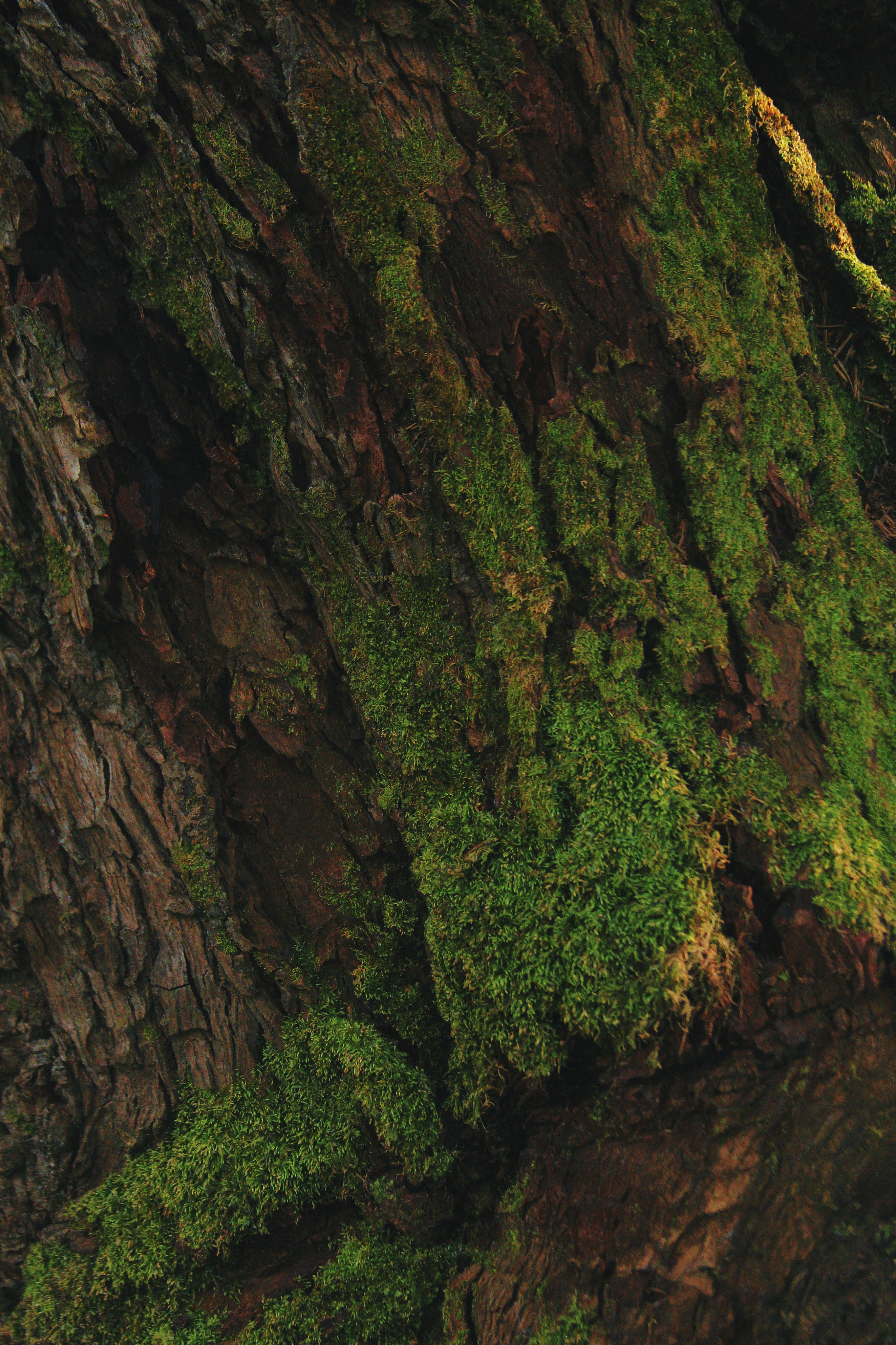 Photo by kristinokarlsen