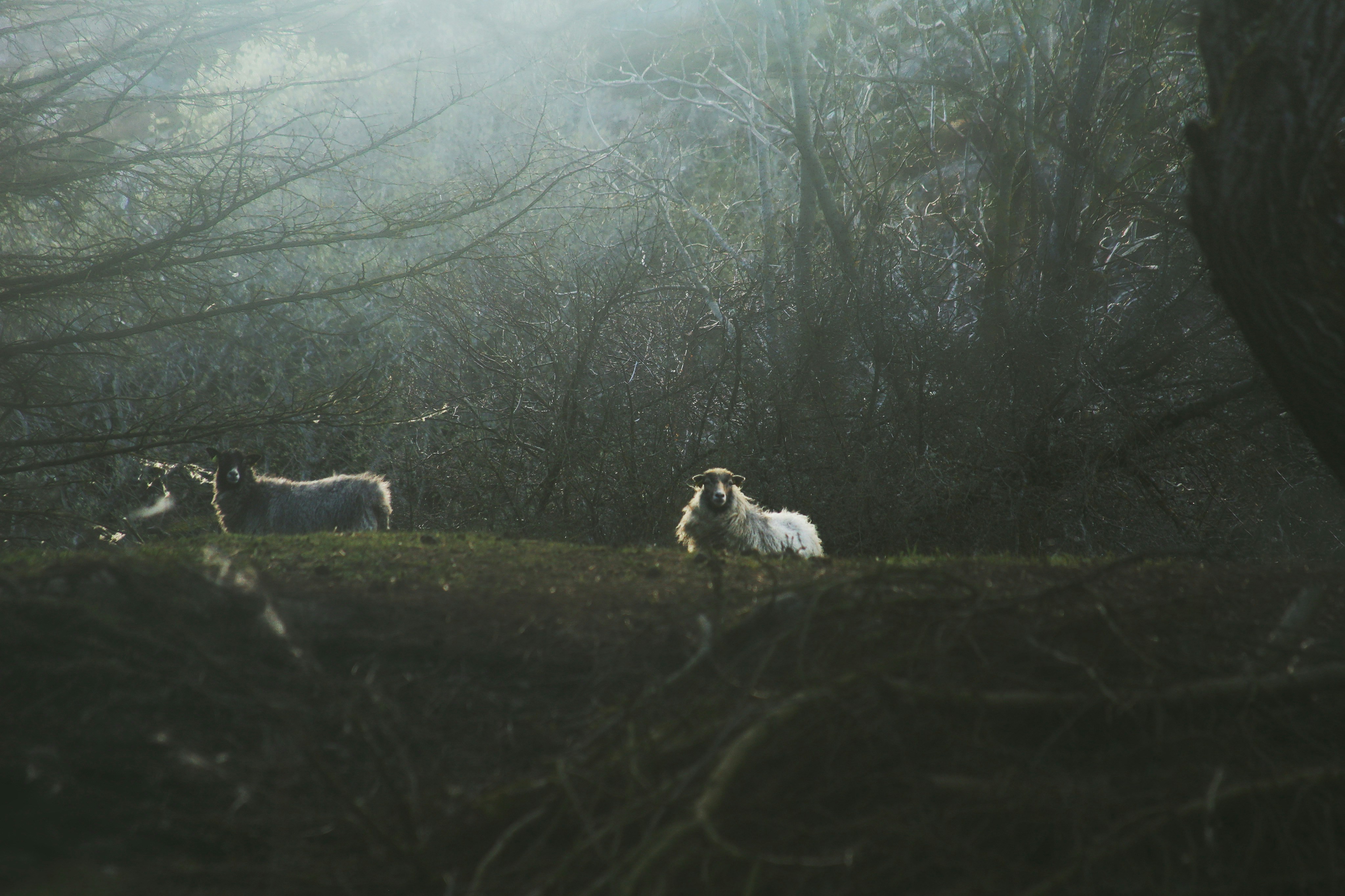 Photo by kristinokarlsen