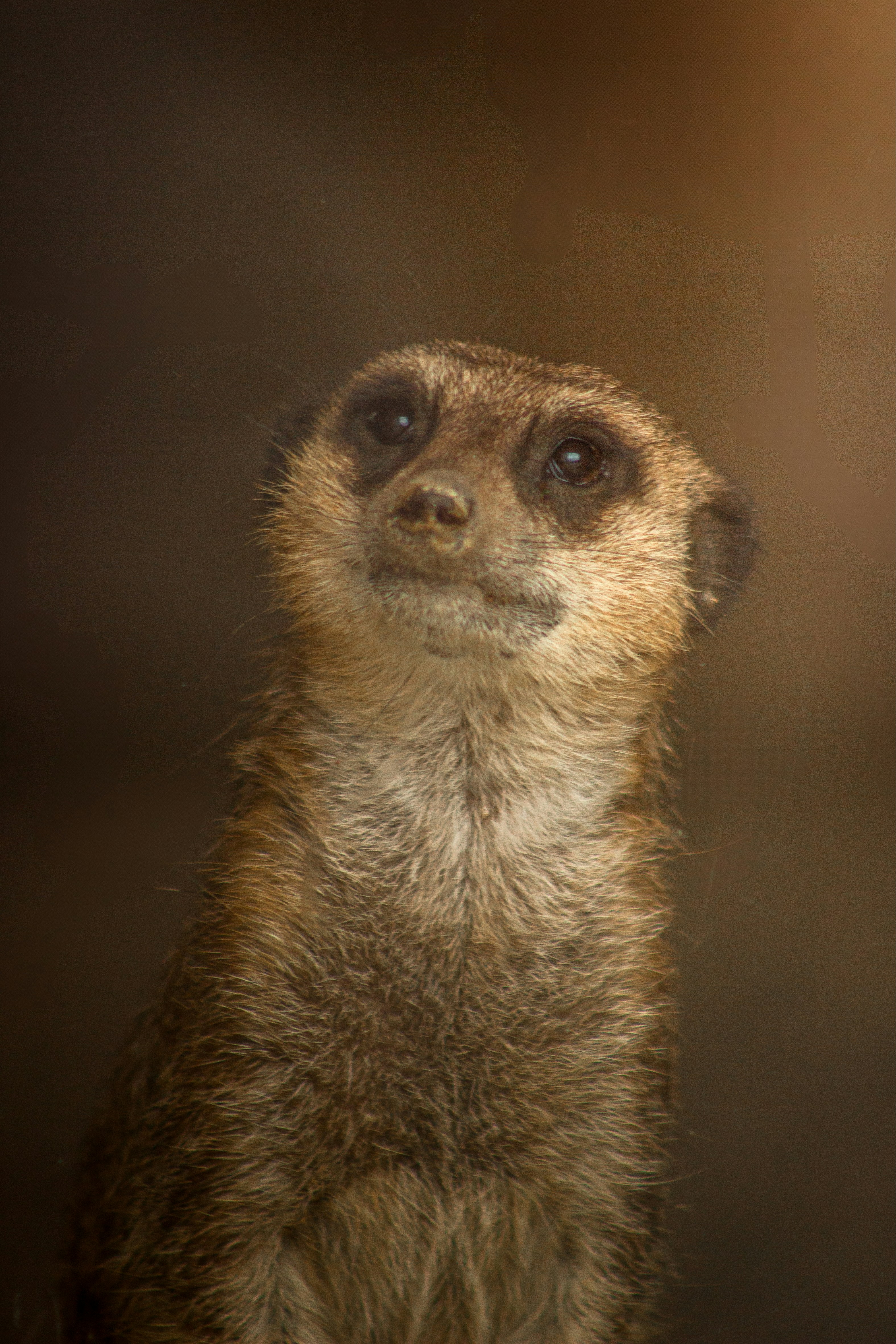 Photo by shotbyellamateea